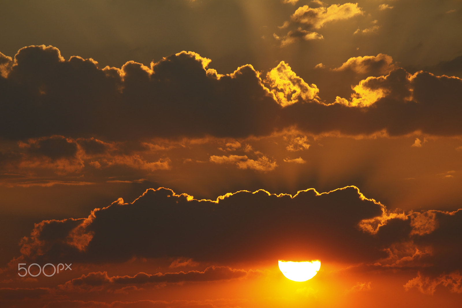 Sigma 150-500mm F5-6.3 DG OS HSM sample photo. Sunset photography