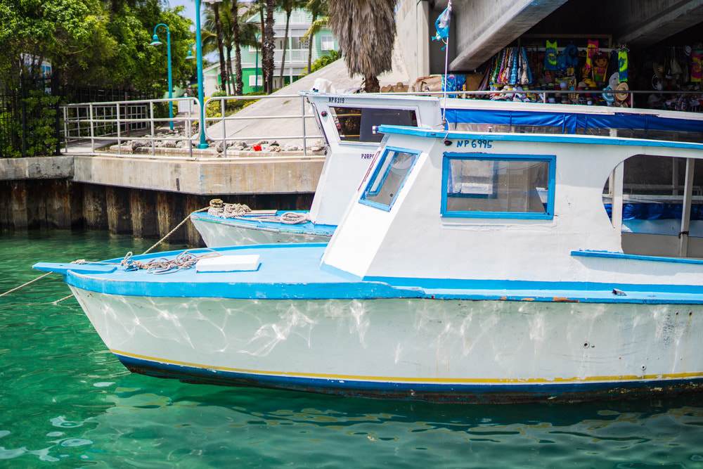 E 30mm F1.4 sample photo. "paradise island ferry terminal market" #photojambo photography