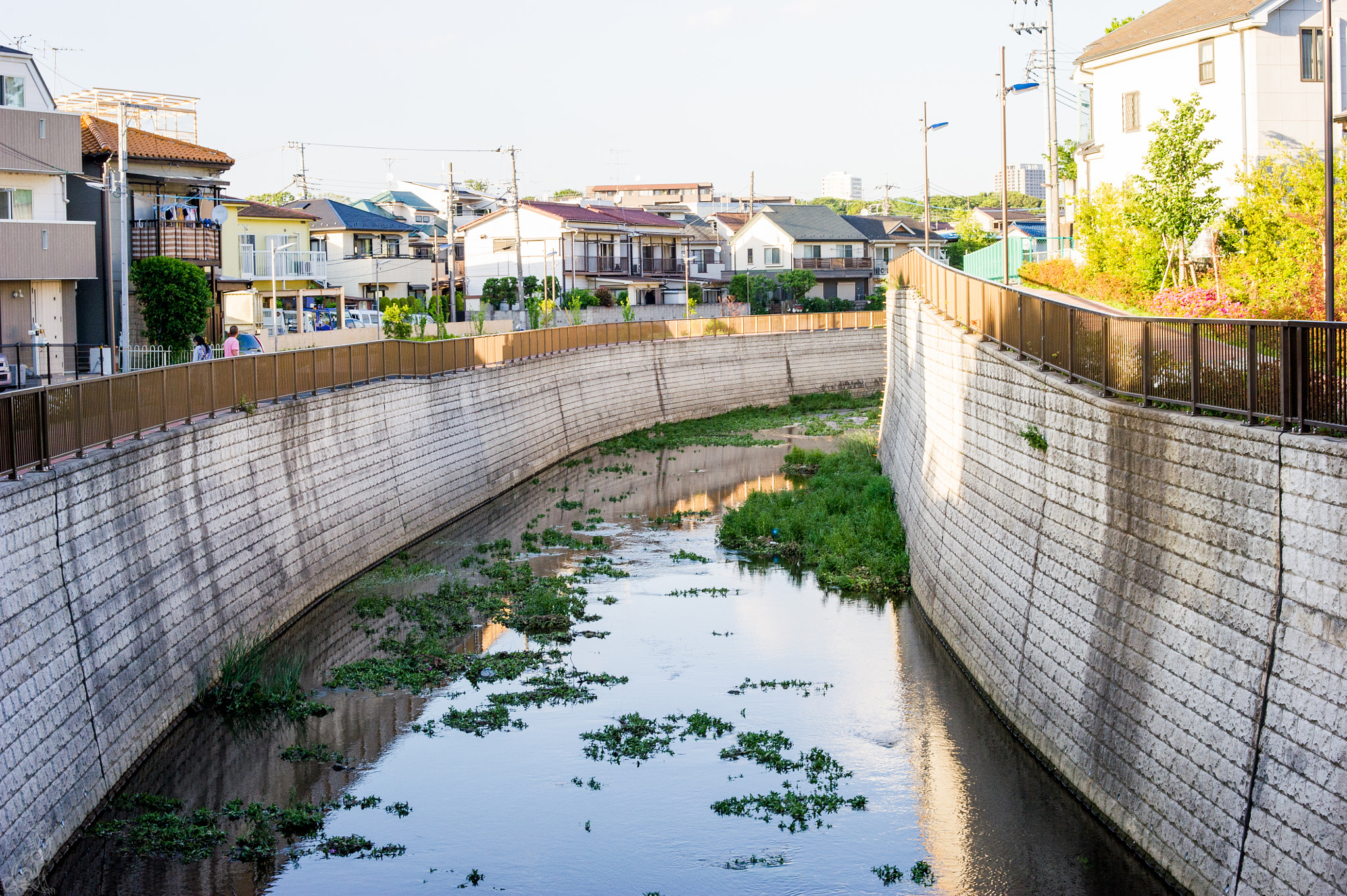 Nikon AF-S Nikkor 58mm F1.4G sample photo. Shakuji river photography