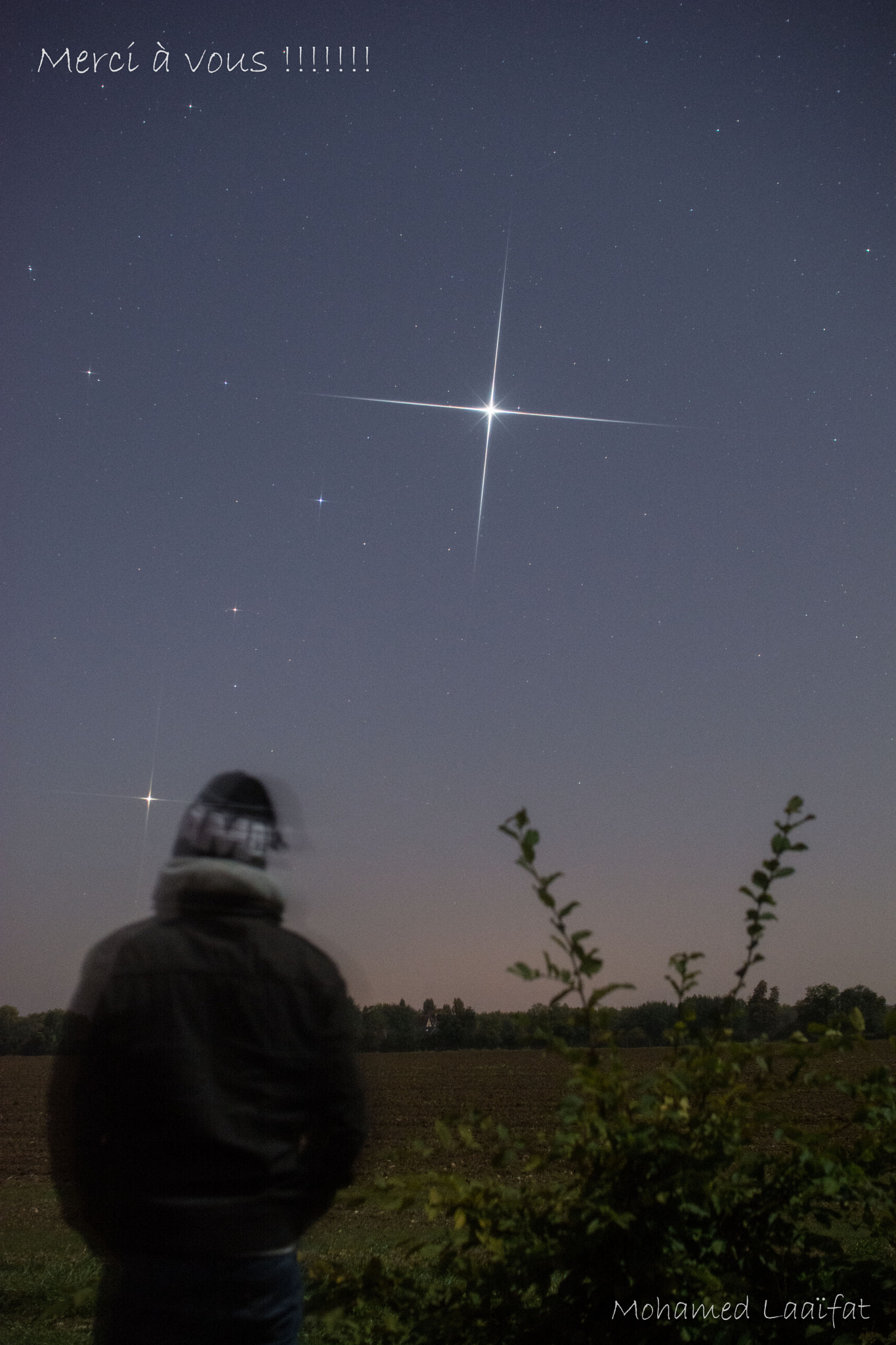 Nikon D5200 + Sigma 30mm F1.4 EX DC HSM sample photo. Diamonds in the sky photography