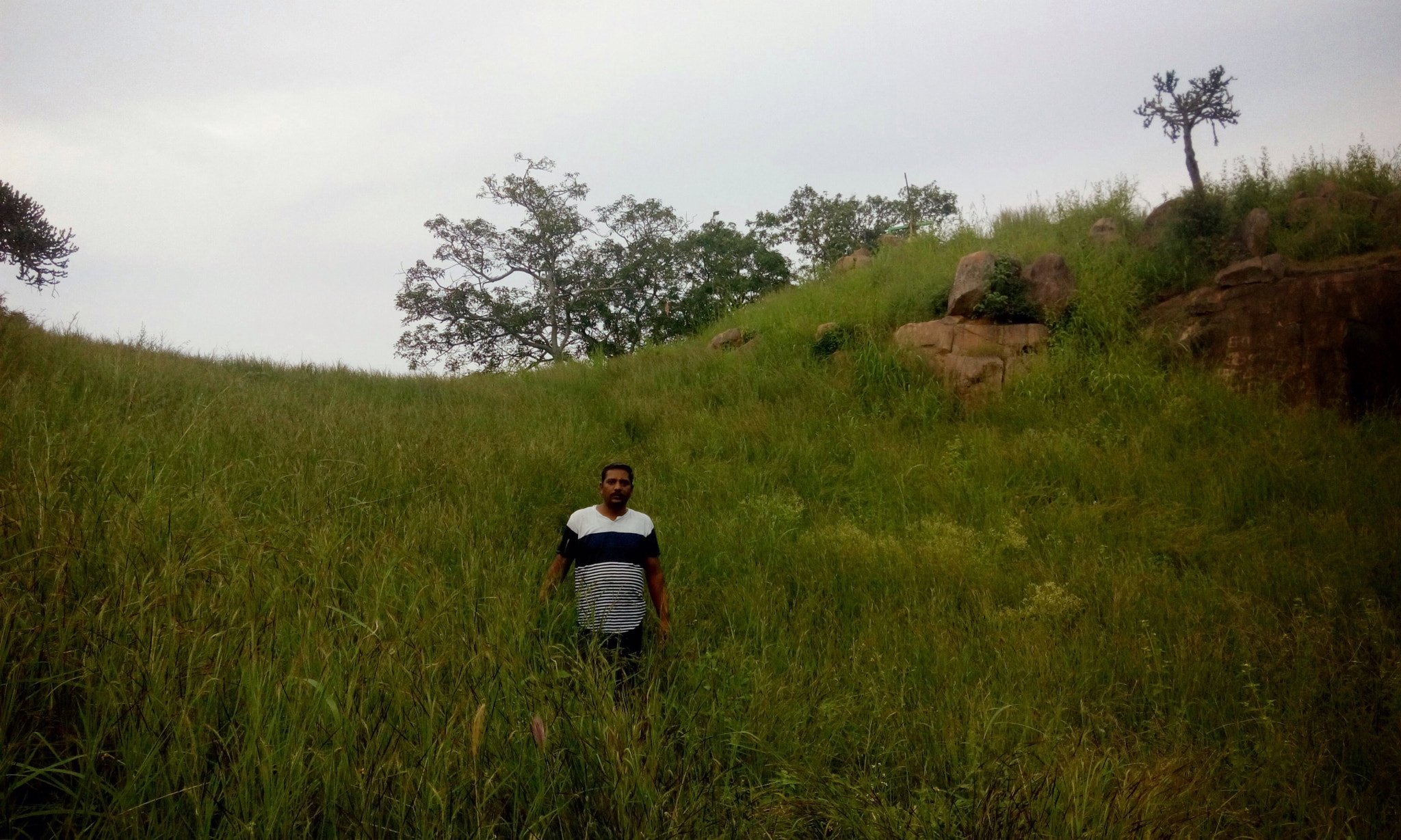 HTC DESIRE 816G DUAL SIM sample photo