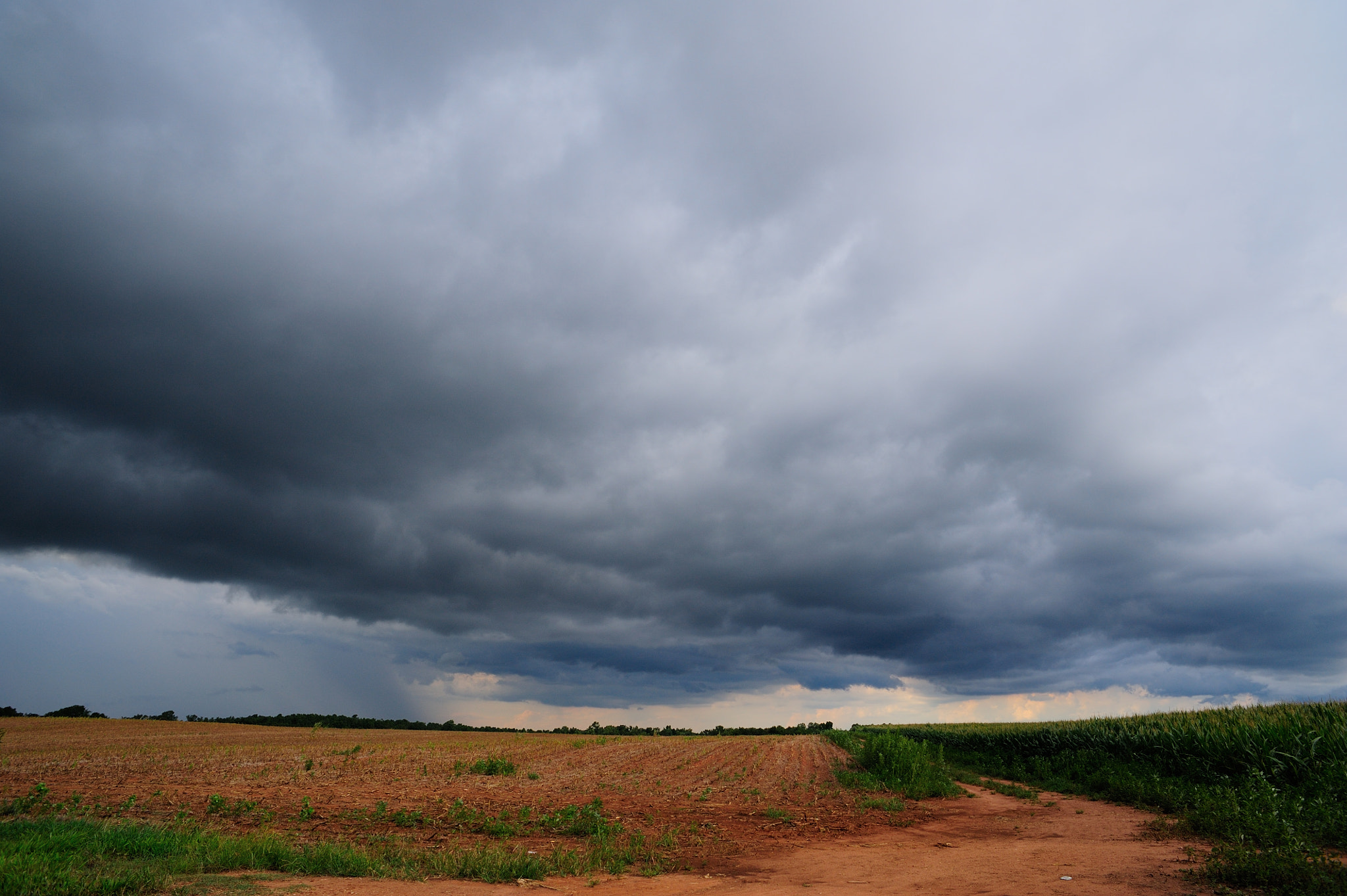 Nikon D700 + AF Nikkor 20mm f/2.8 sample photo. Stormy field, near a dairy farm. rural georgia photography