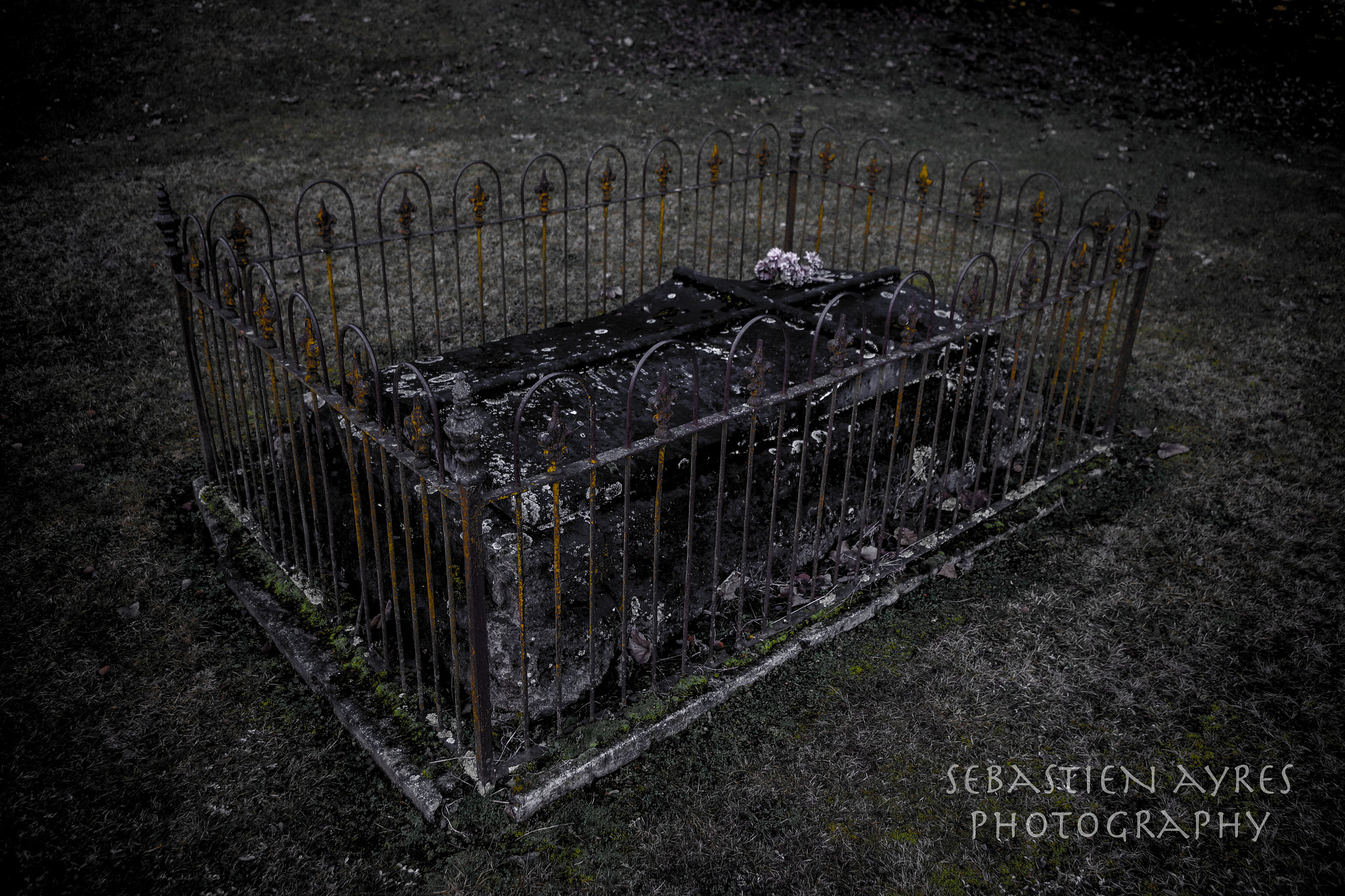 Pentax K-S2 sample photo. Fenced in photography