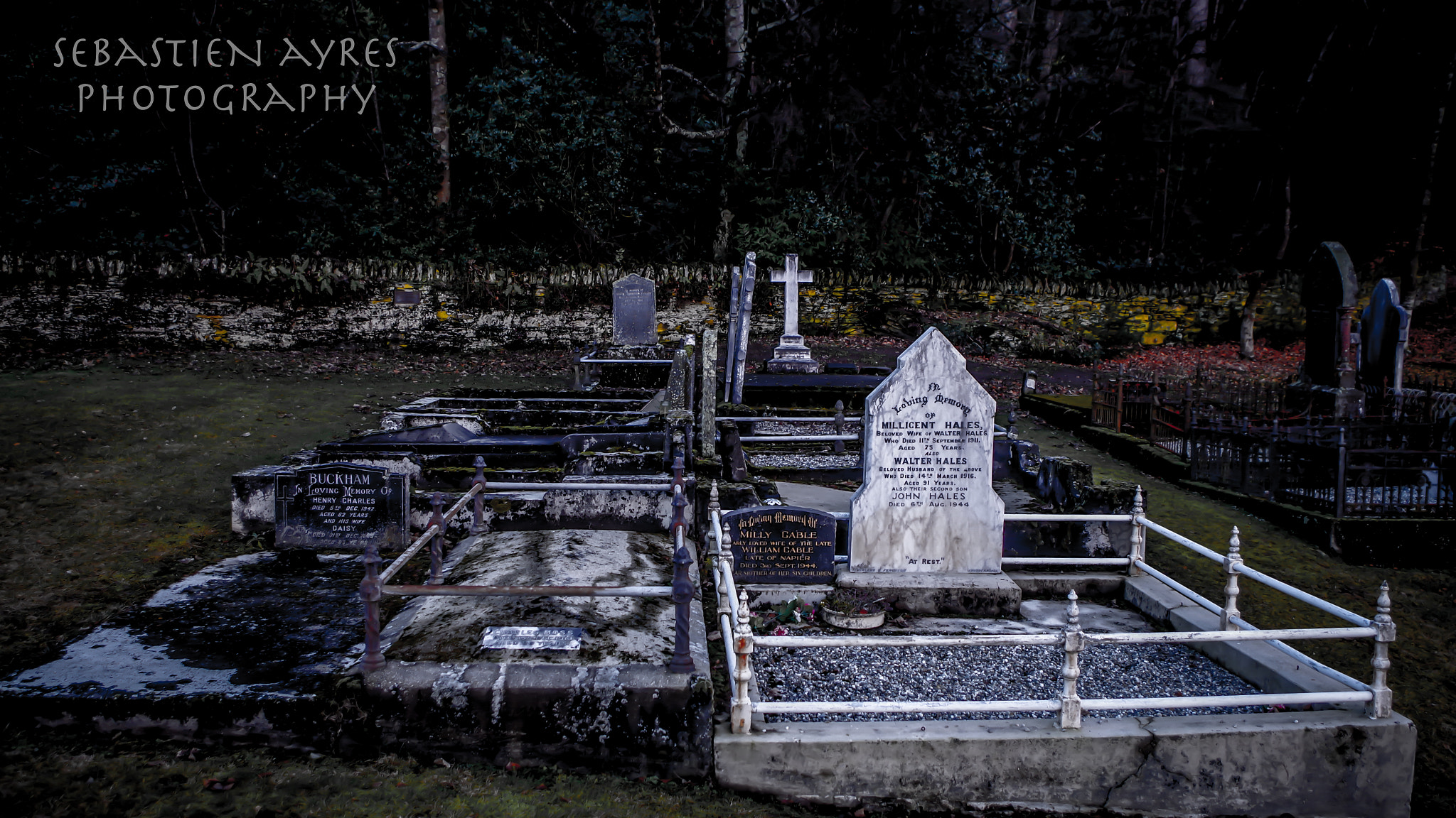 Pentax K-S2 sample photo. In loving memory photography
