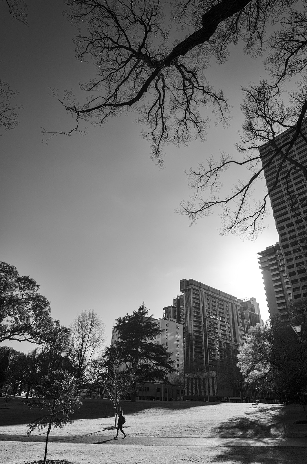 Nikon AF-S Nikkor 14-24mm F2.8G ED sample photo. Sunny morning photography