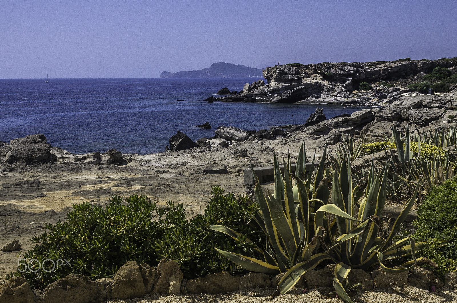 Sigma 17-70mm F2.8-4 DC Macro HSM sample photo. Summer postcard photography