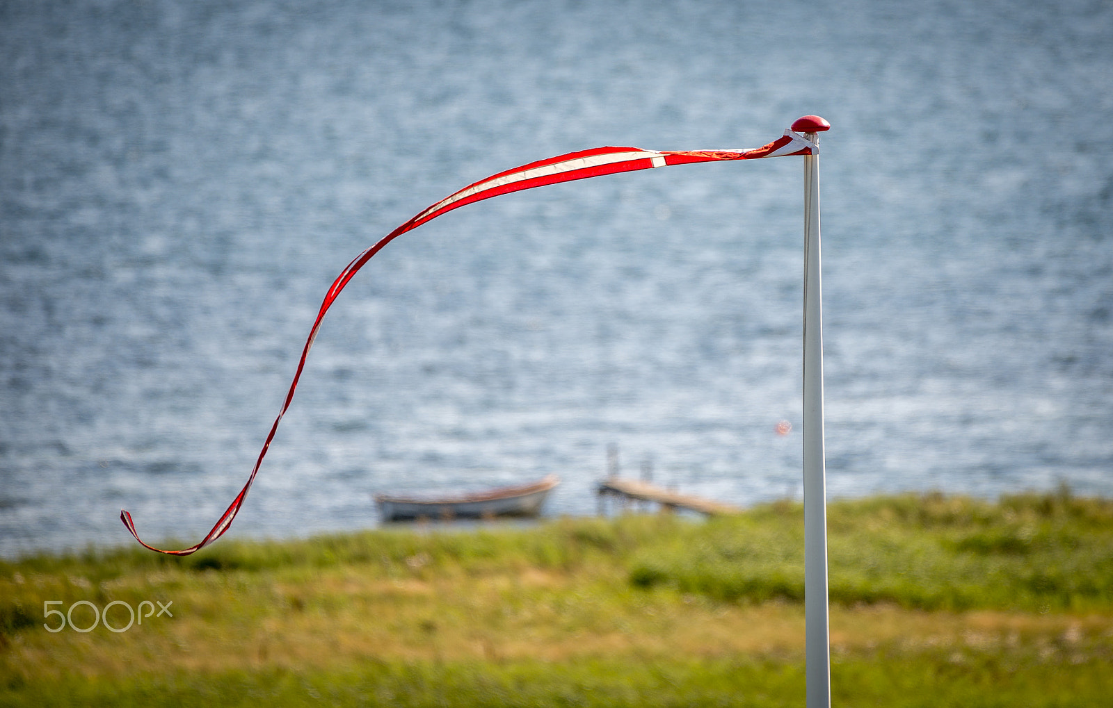 Nikon AF-S Nikkor 200-500mm F5.6E ED VR sample photo. Summer wind photography