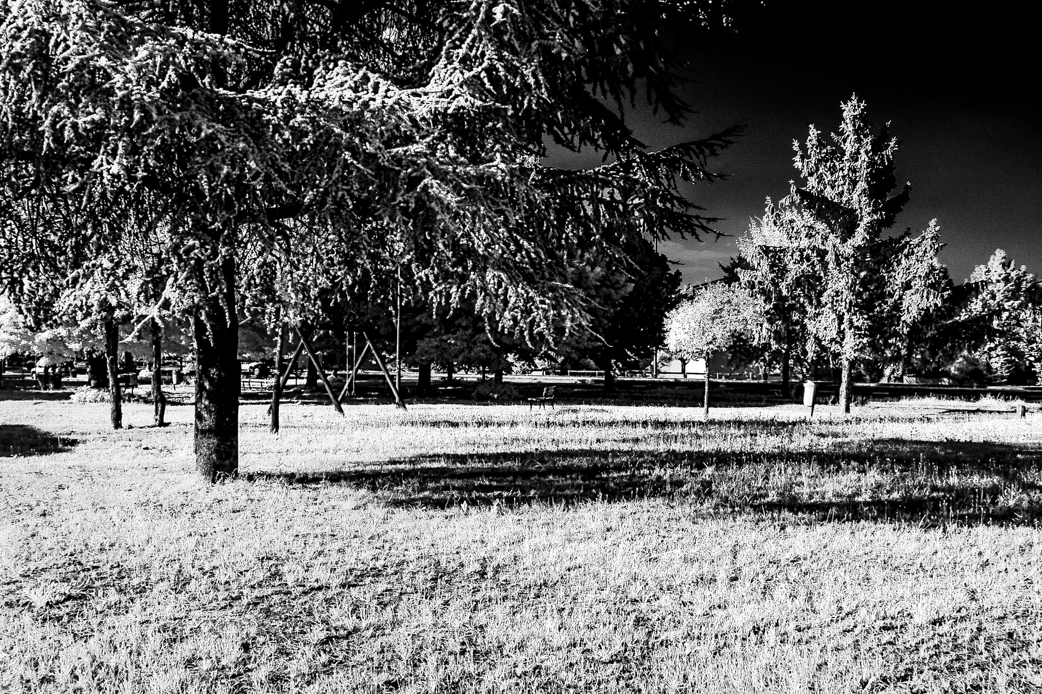 Nikon D70s sample photo. Infrared garden photography