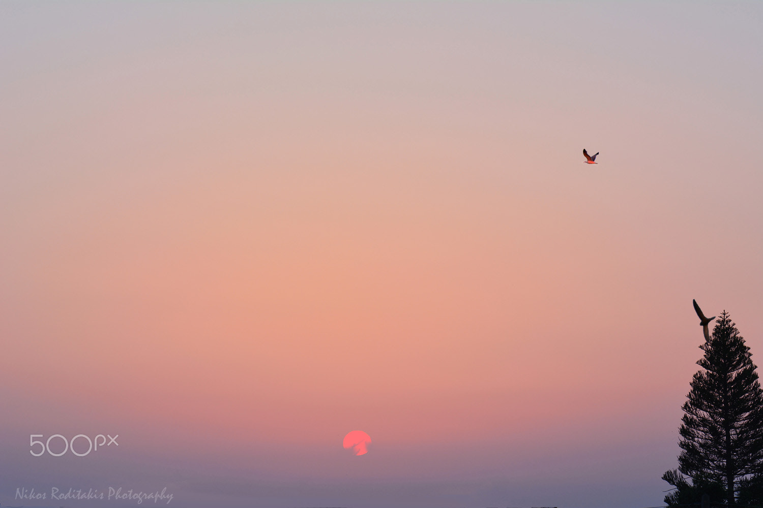 Nikon AF-Nikkor 80-200mm F2.8D ED sample photo. Sunrise in heraklion today photography