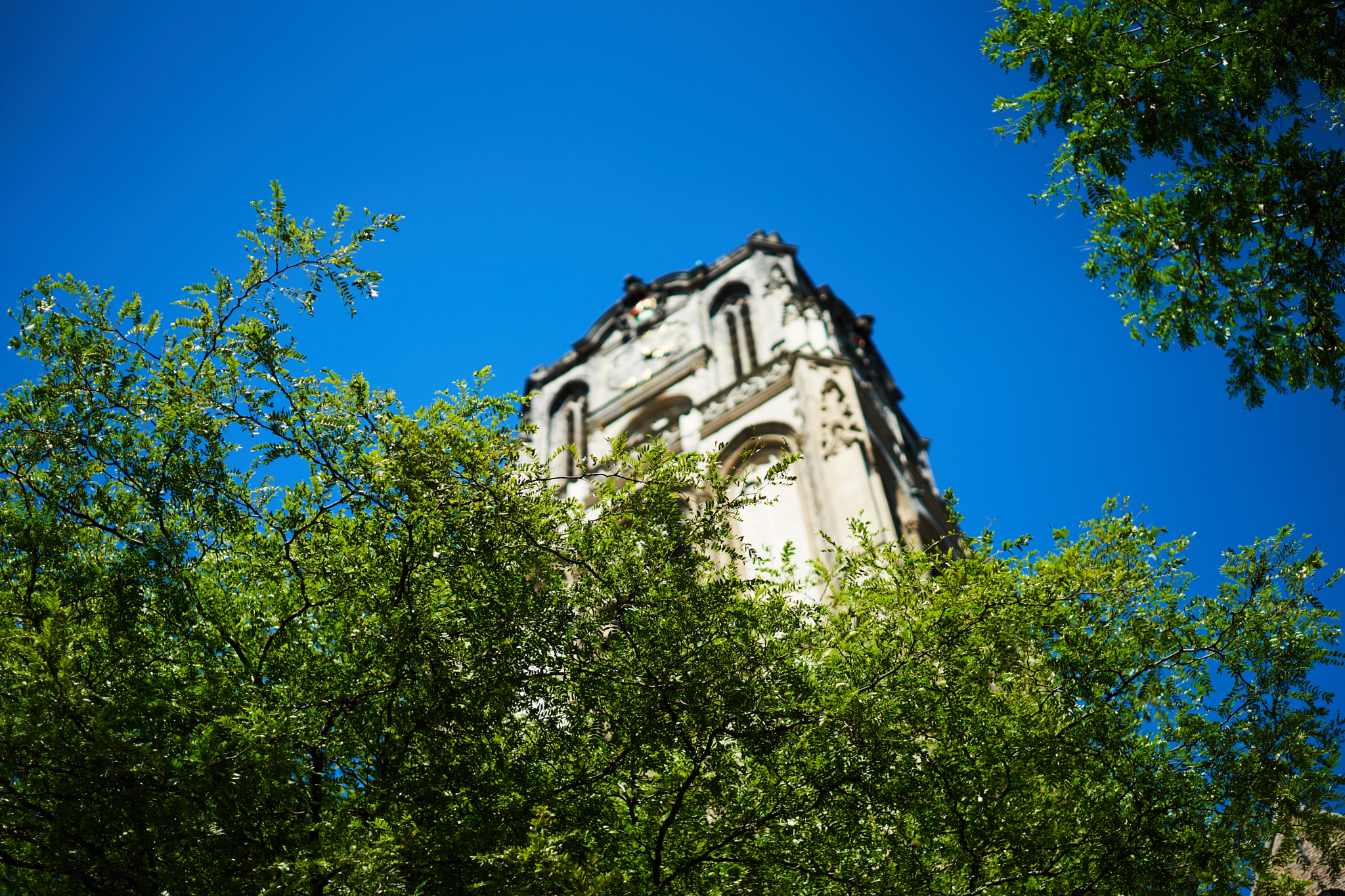 E 50mm F2 sample photo. Church in the wild photography