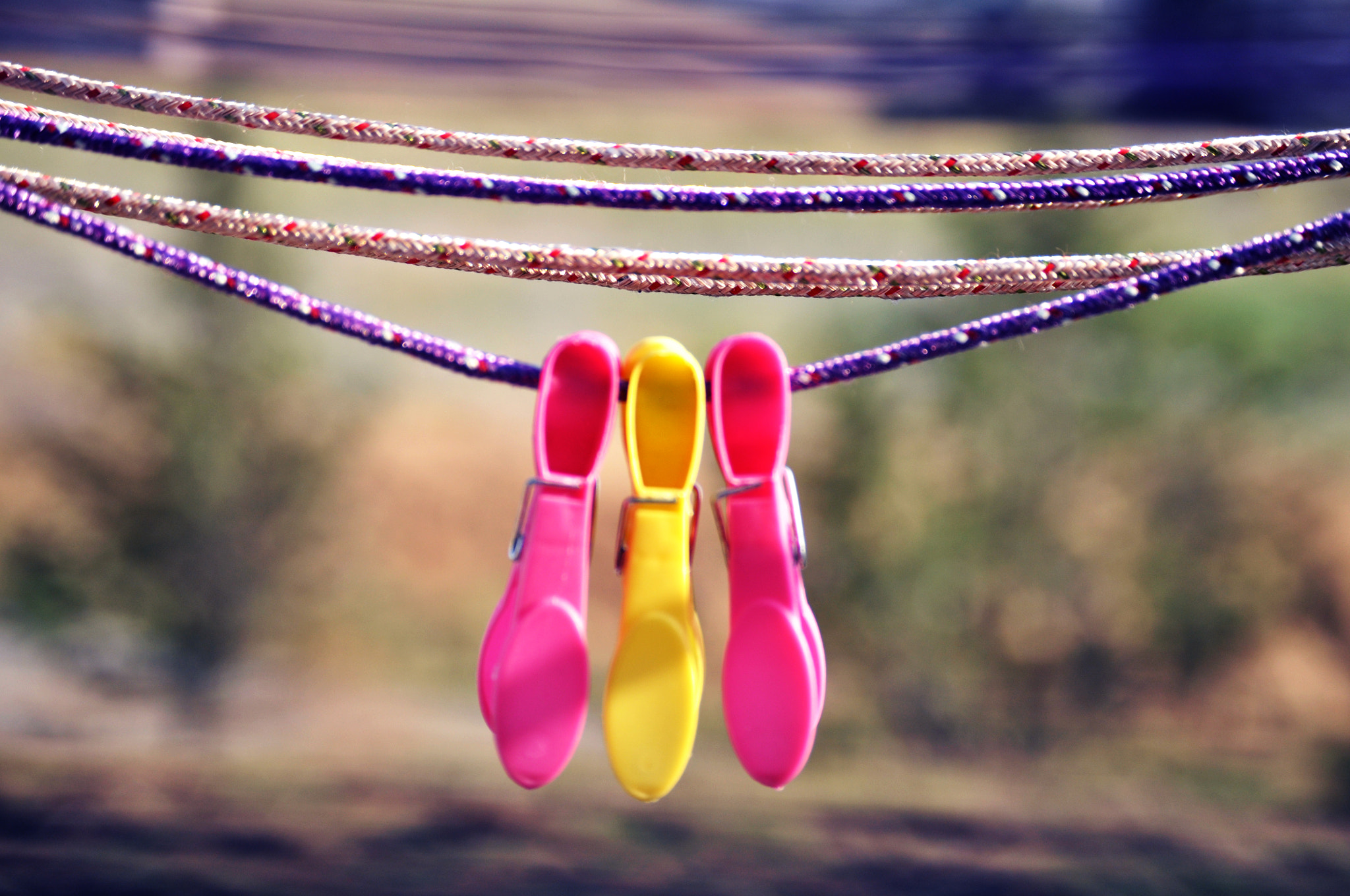 Nikon D5000 sample photo. Clothes-peg photography