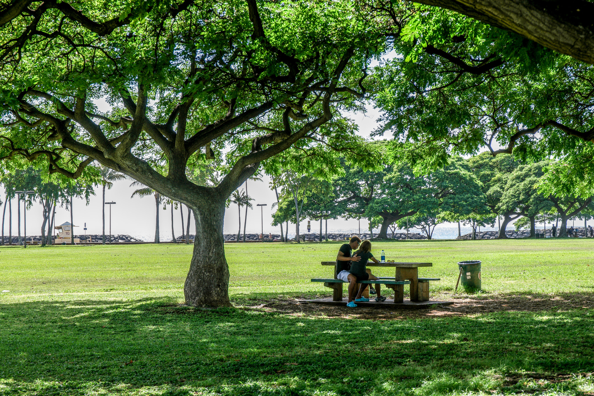 Saumsun NX 16-50mm F2-2.8 S ED OIS sample photo. Magic island in hawaii photography