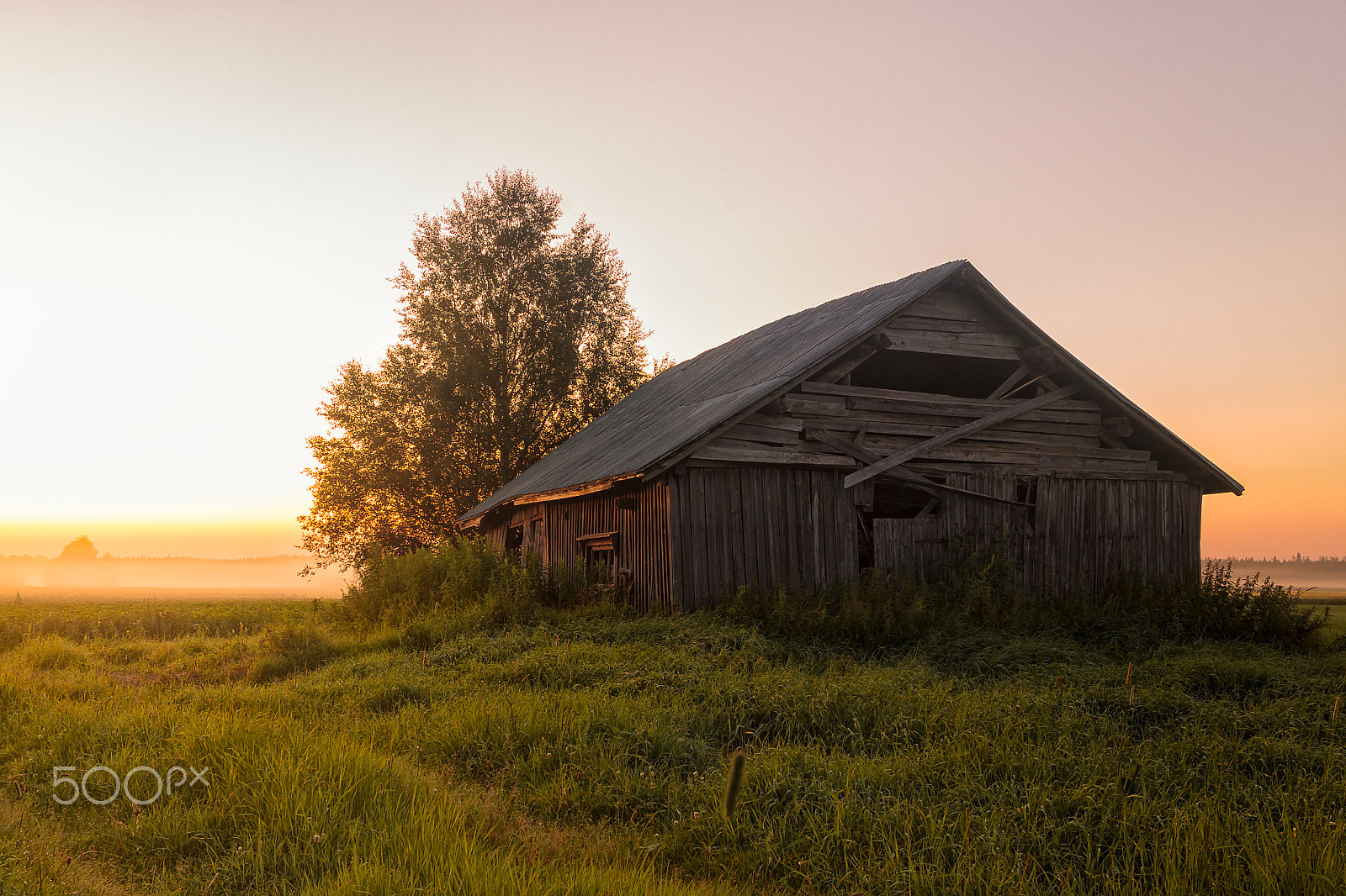 Canon EF-S 24mm F2.8 STM sample photo. Barn house on the misty fields photography