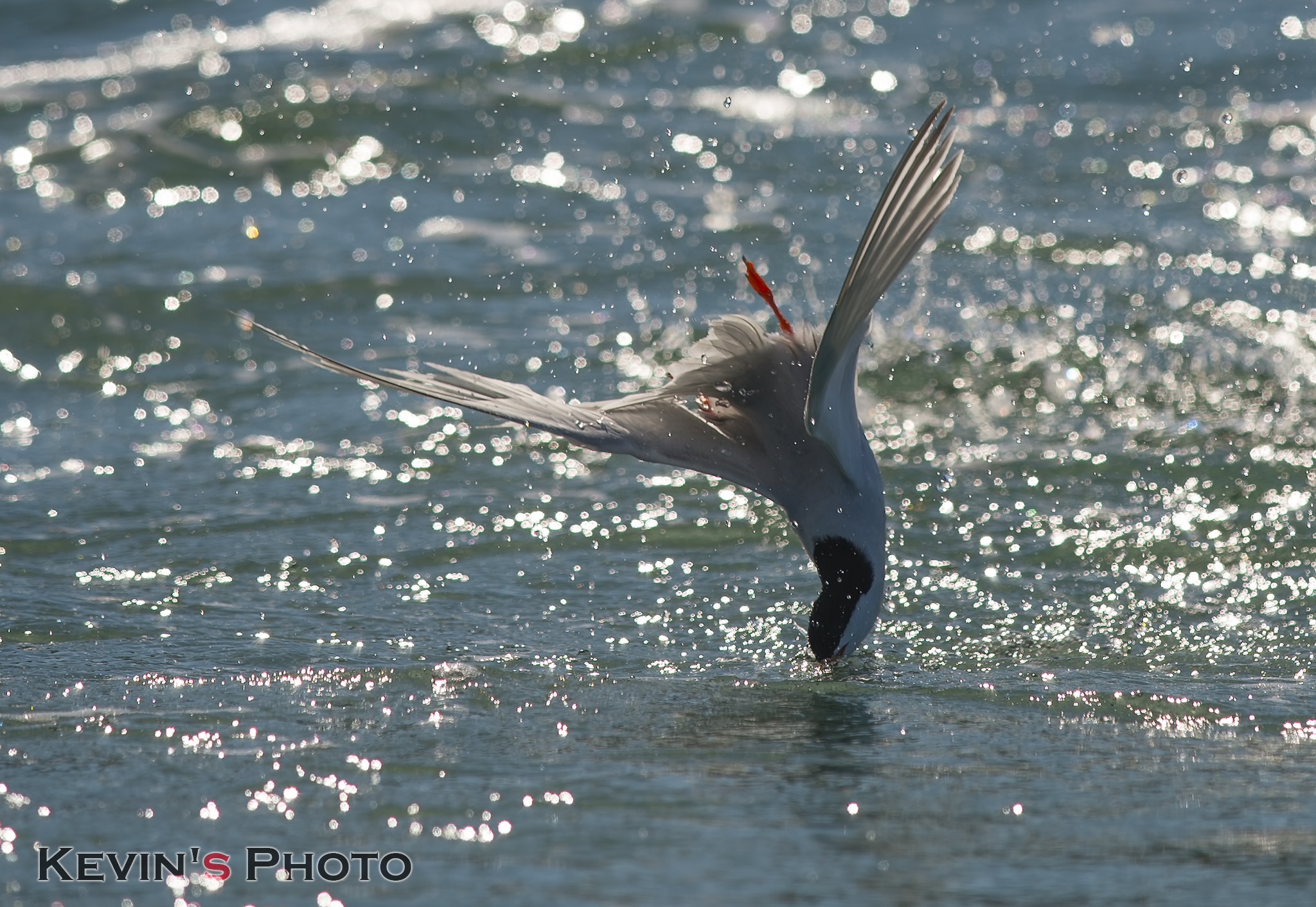 Nikon D4 + Nikon AF-S Nikkor 300mm F4D ED-IF sample photo. Water ballet photography