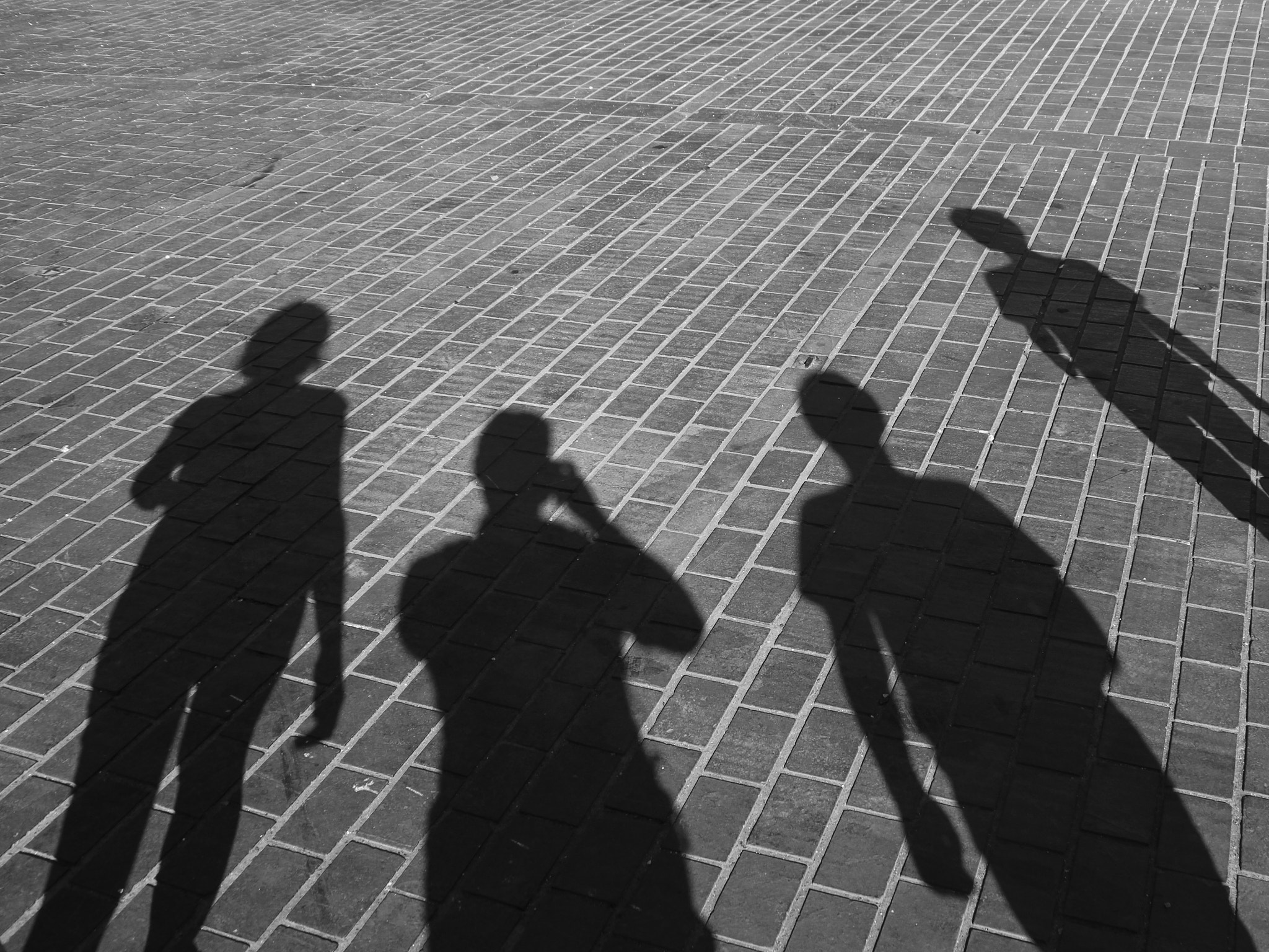 Canon EOS 100D (EOS Rebel SL1 / EOS Kiss X7) sample photo. Cast a shadow photography