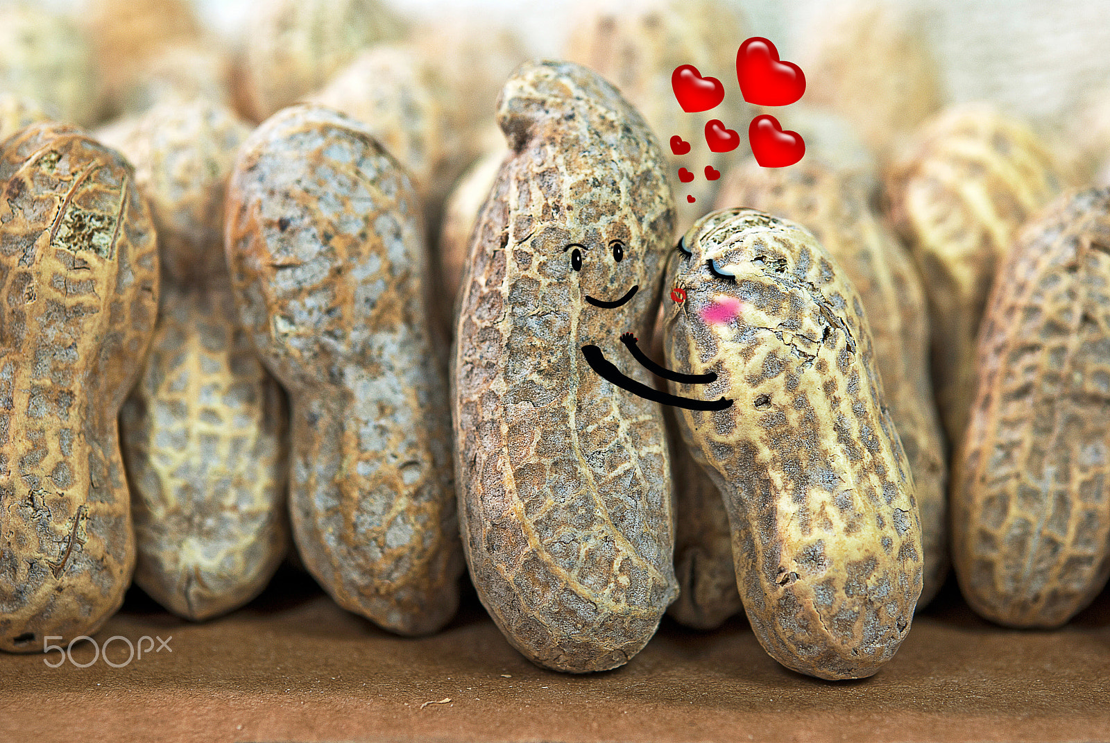 Nikon AF-S Micro-Nikkor 60mm F2.8G ED sample photo. Peanut love photography