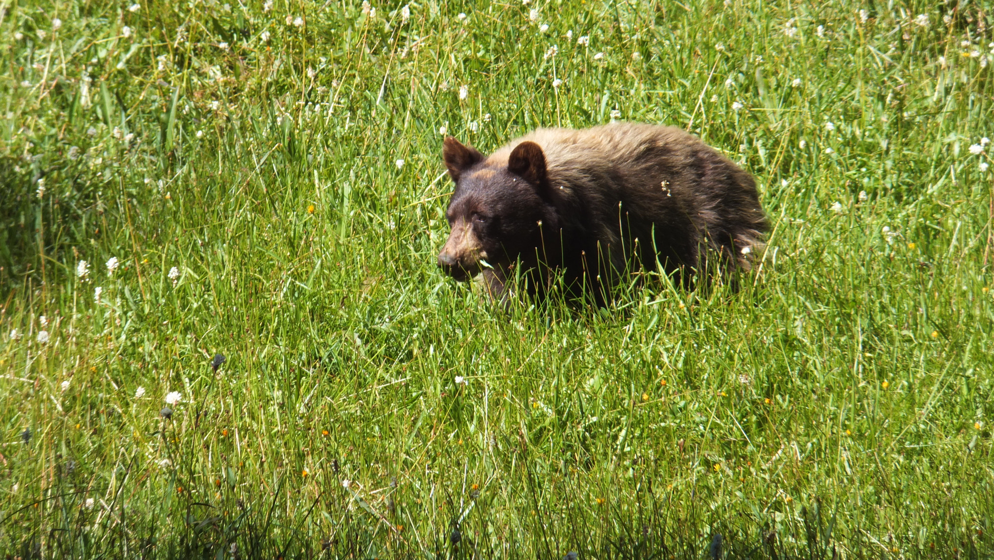 Fujifilm FinePix F800EXR sample photo. Yosemite () photography