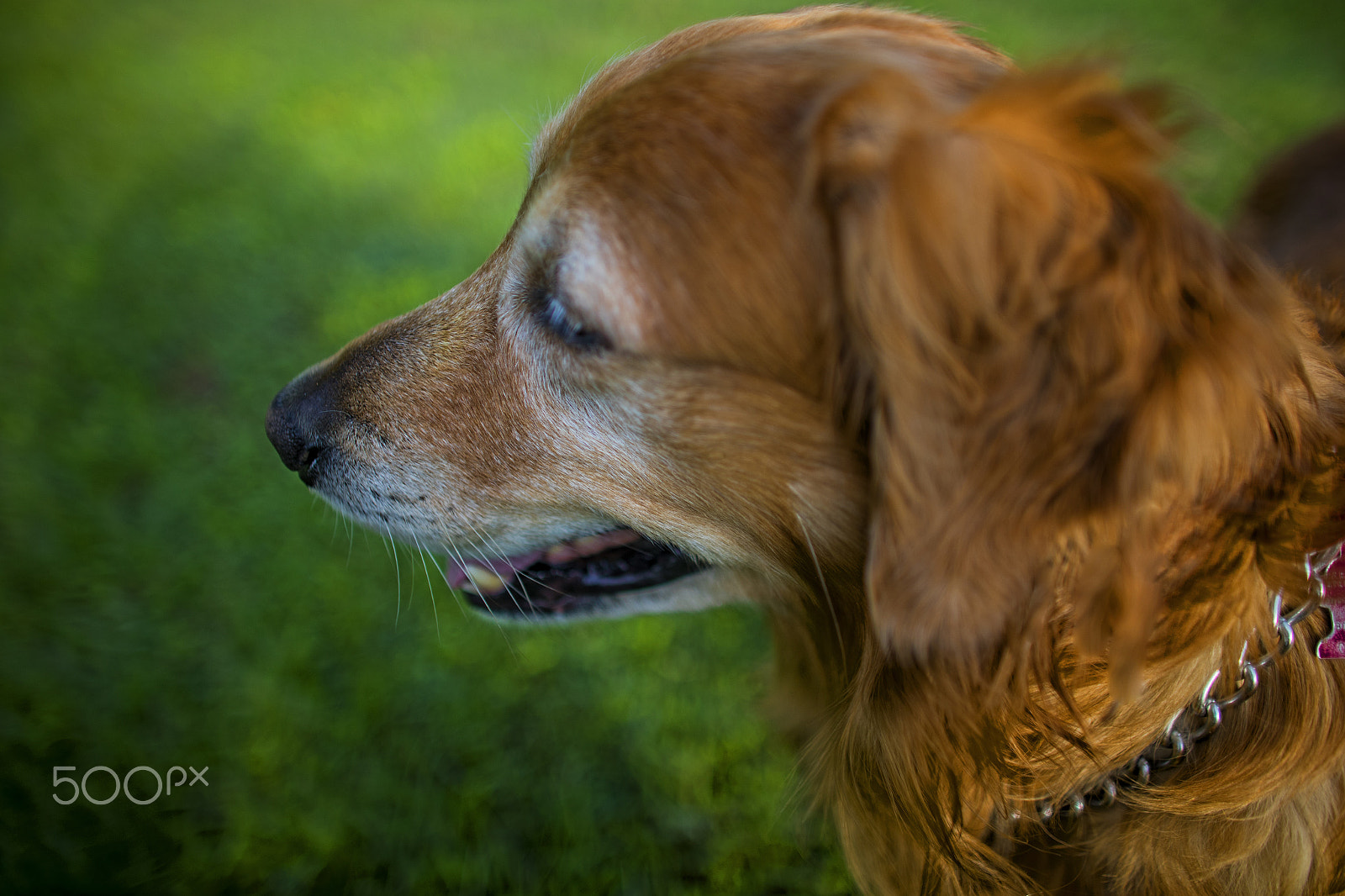 Canon EF 24mm f/1.4L sample photo. Gus 10720 photography