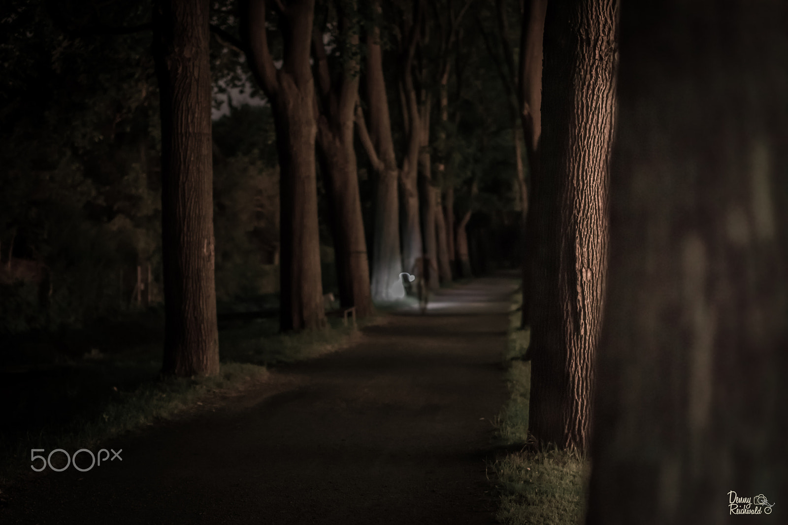Sigma 50mm F1.4 EX DG HSM sample photo. Way of confidence photography