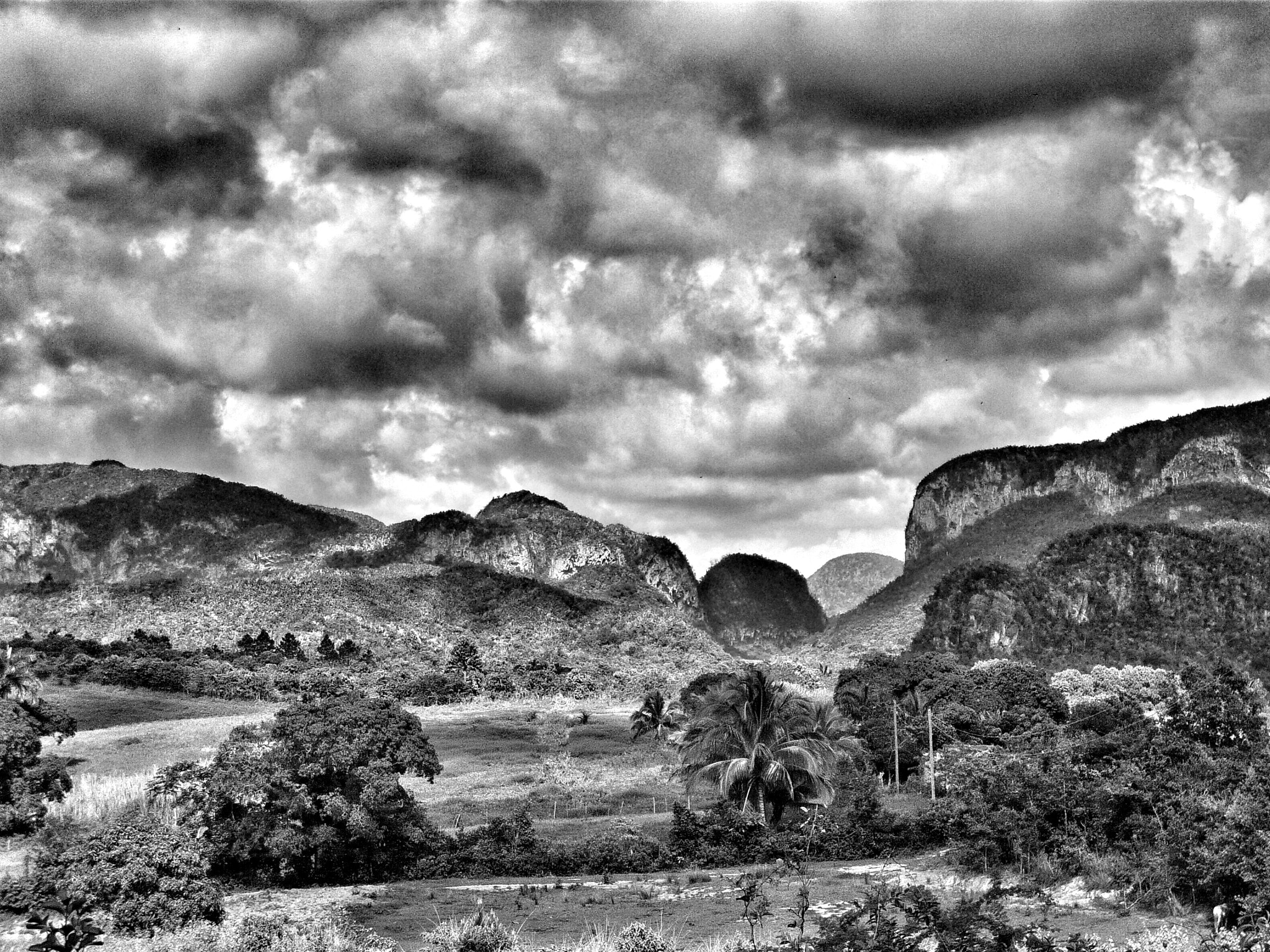 Panasonic DMC-FX33 sample photo. Viñales - cuba photography