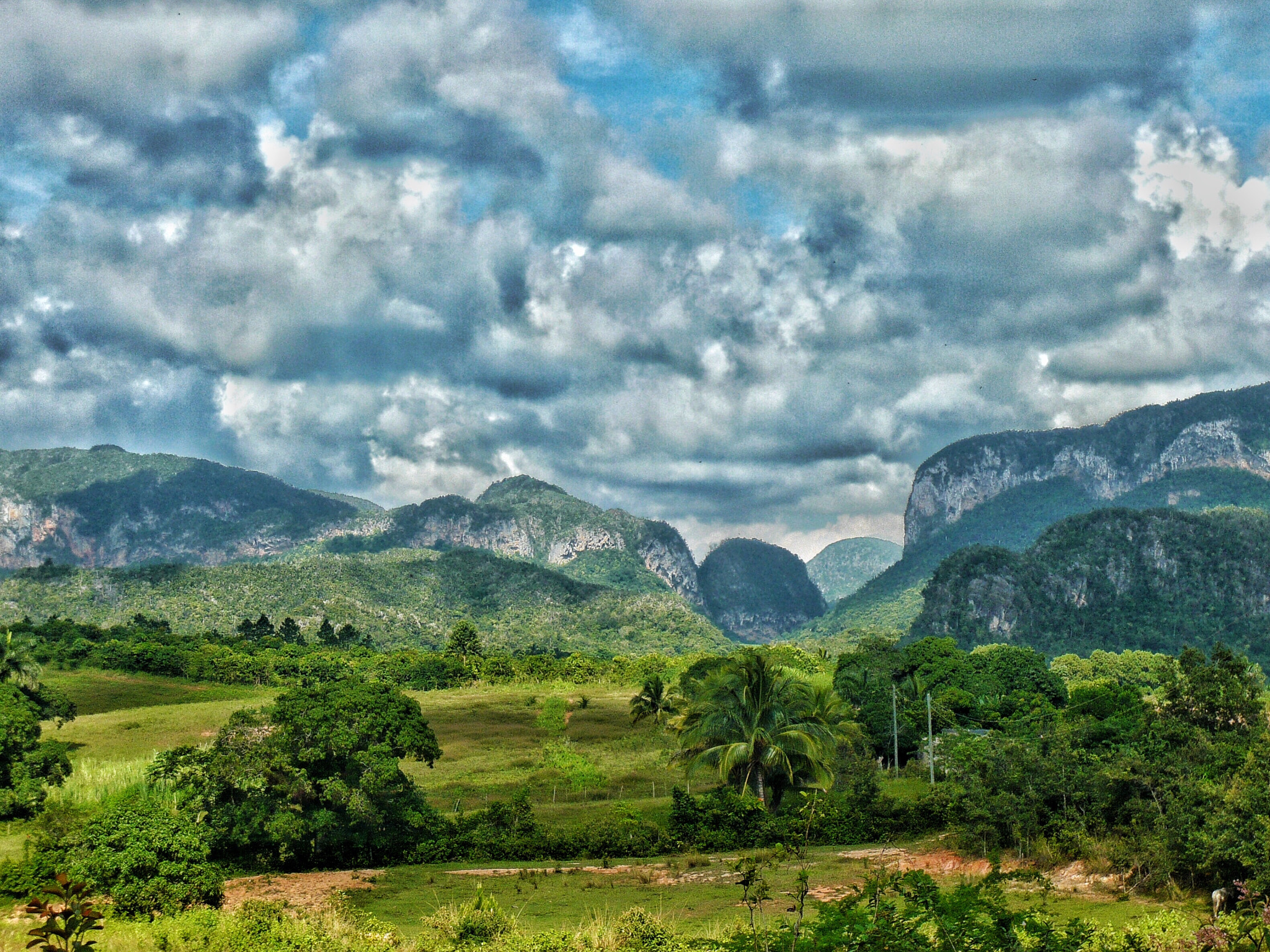 Panasonic DMC-FX33 sample photo. Viñales - cuba photography