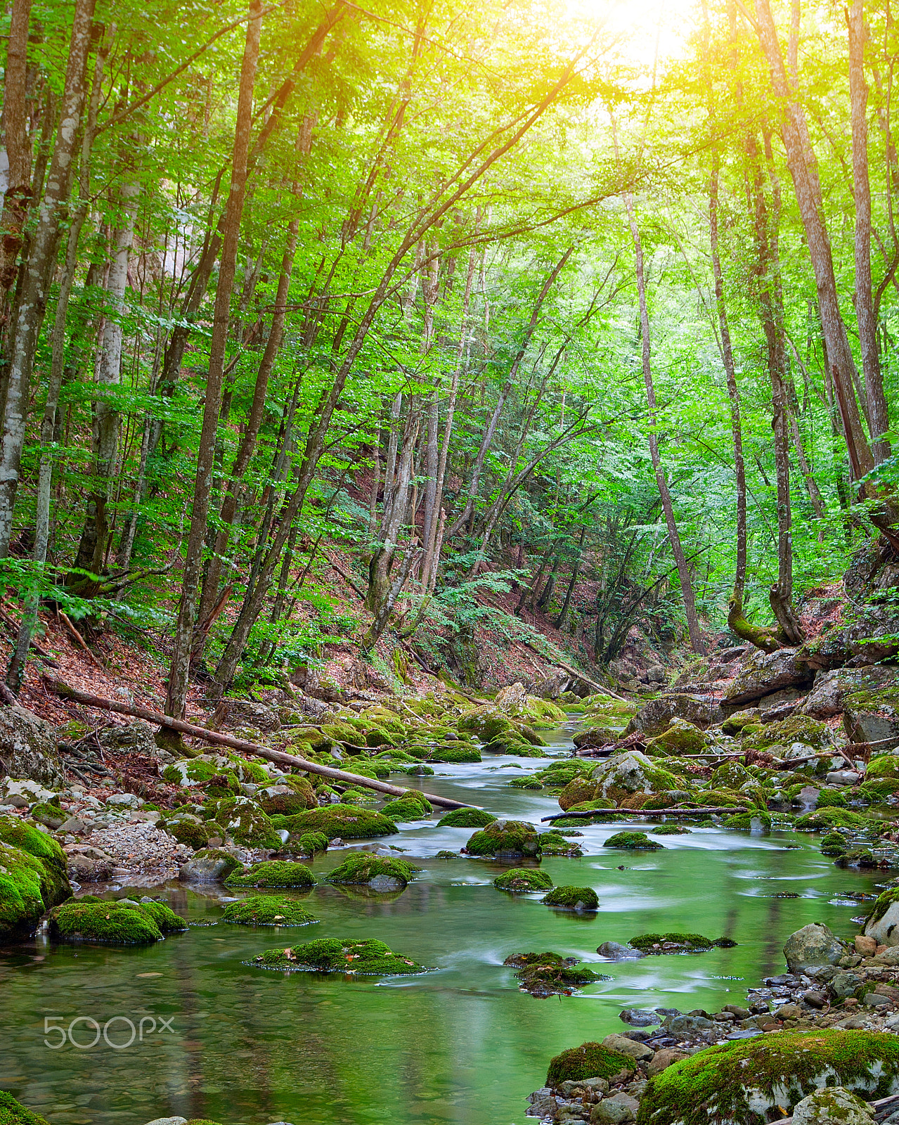 Pentax K200D sample photo. Early morning in the mountains photography