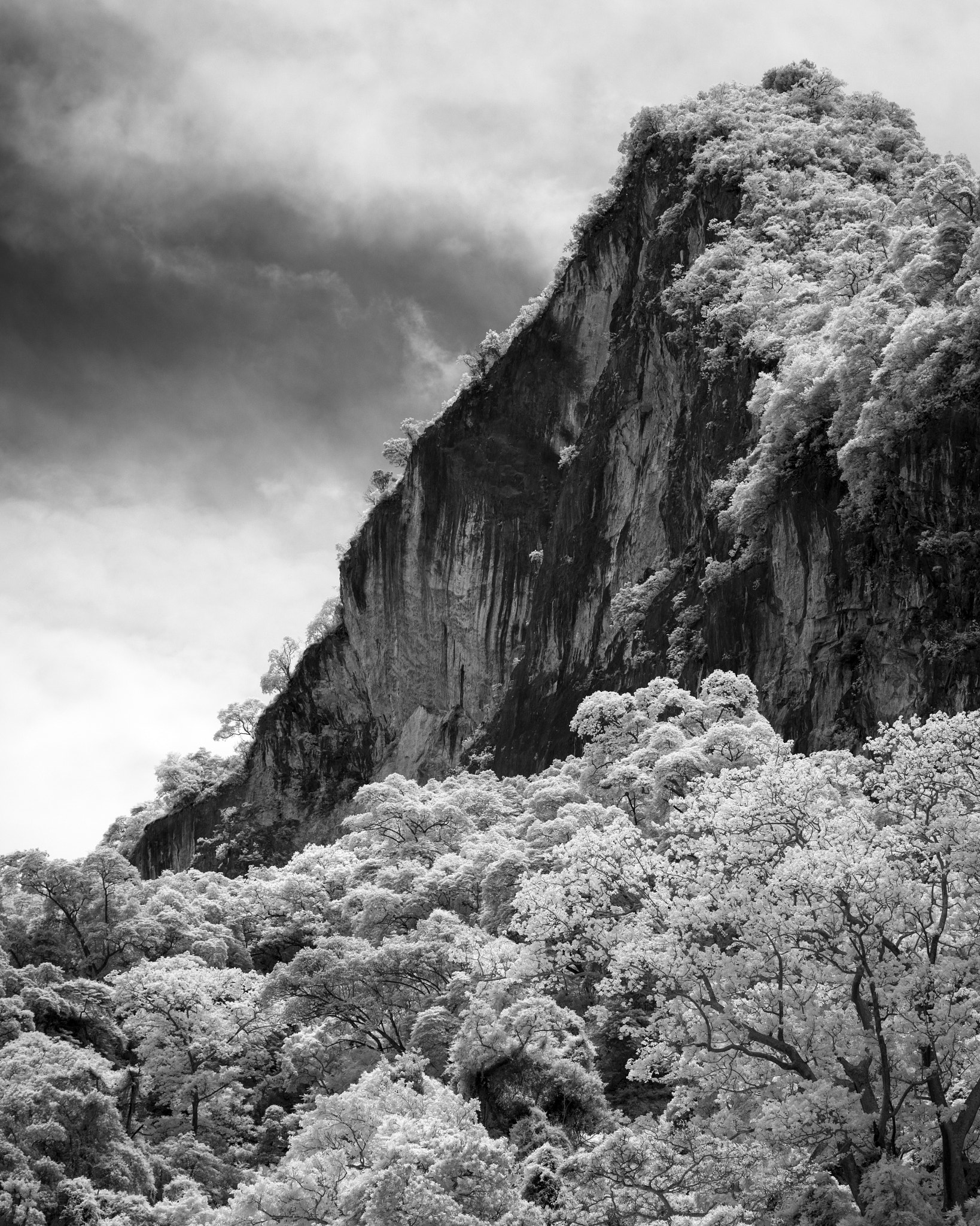 Nikon AF-S Nikkor 70-200mm F2.8G ED VR II sample photo. Ba bể ir photography