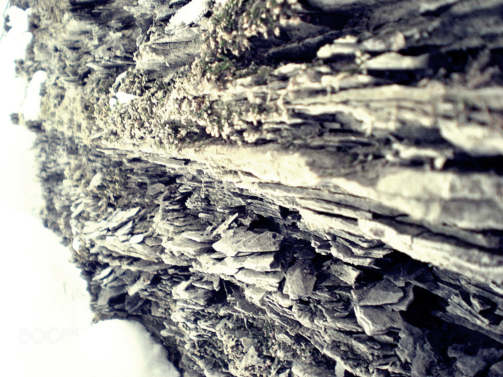 Nikon Coolpix S210 sample photo. Winter shale photography