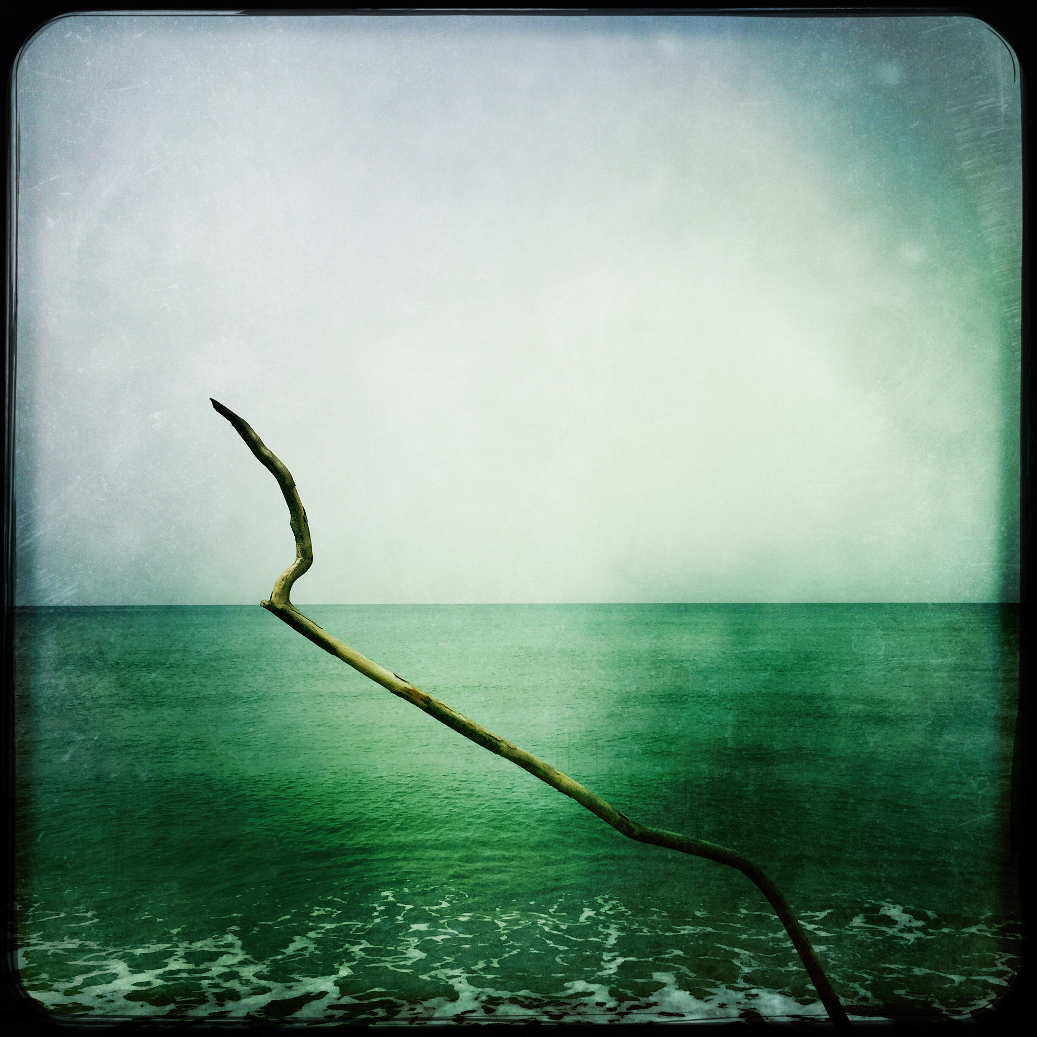 Hipstamatic 313 sample photo