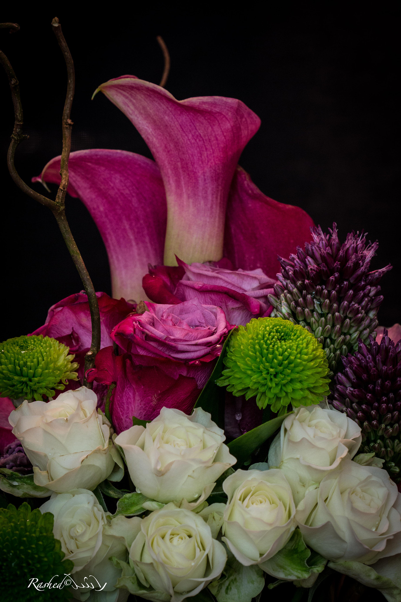 Canon EF 100mm F2.8 Macro USM sample photo