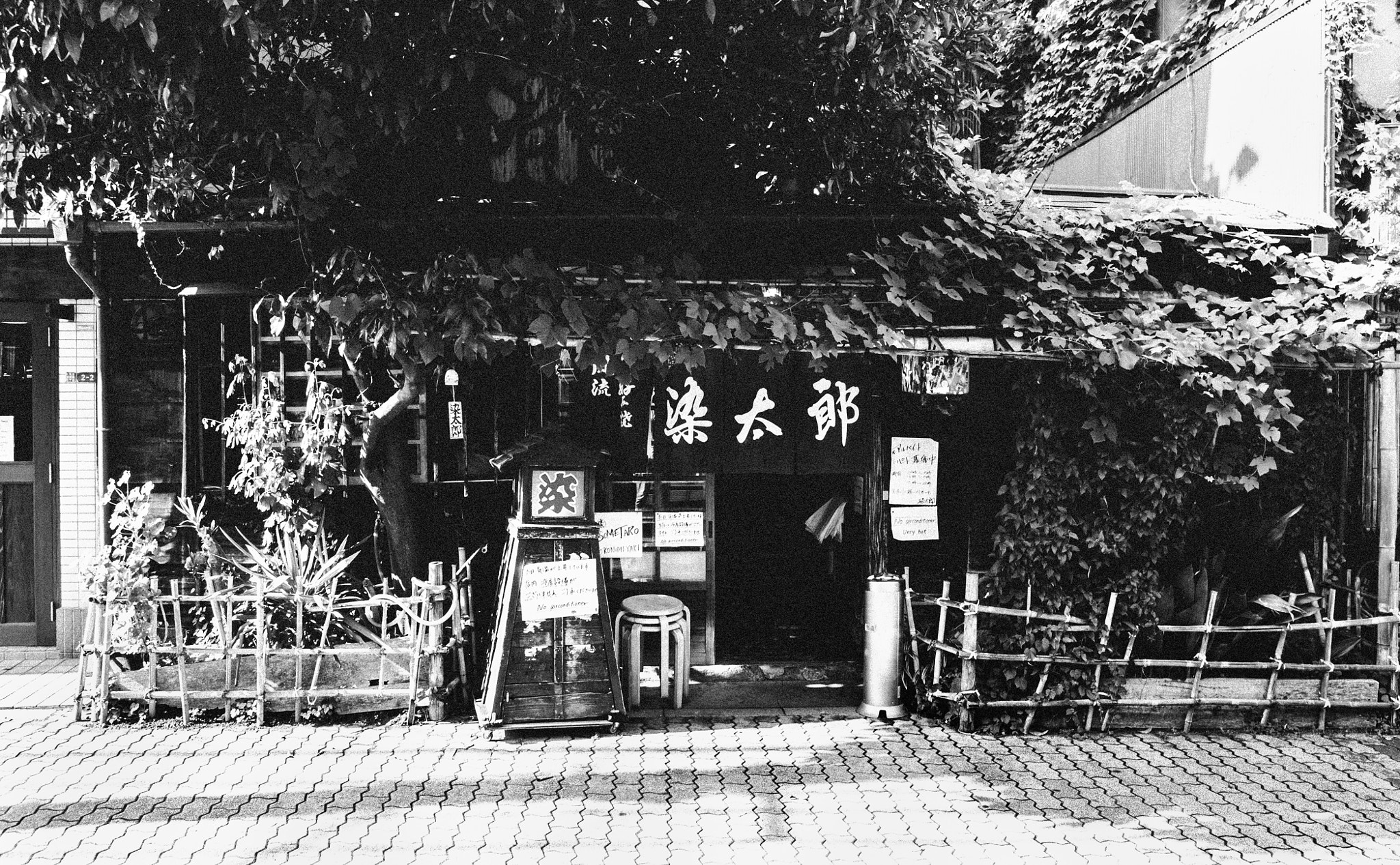 Pentax K-r sample photo. Okonomiyaki photography