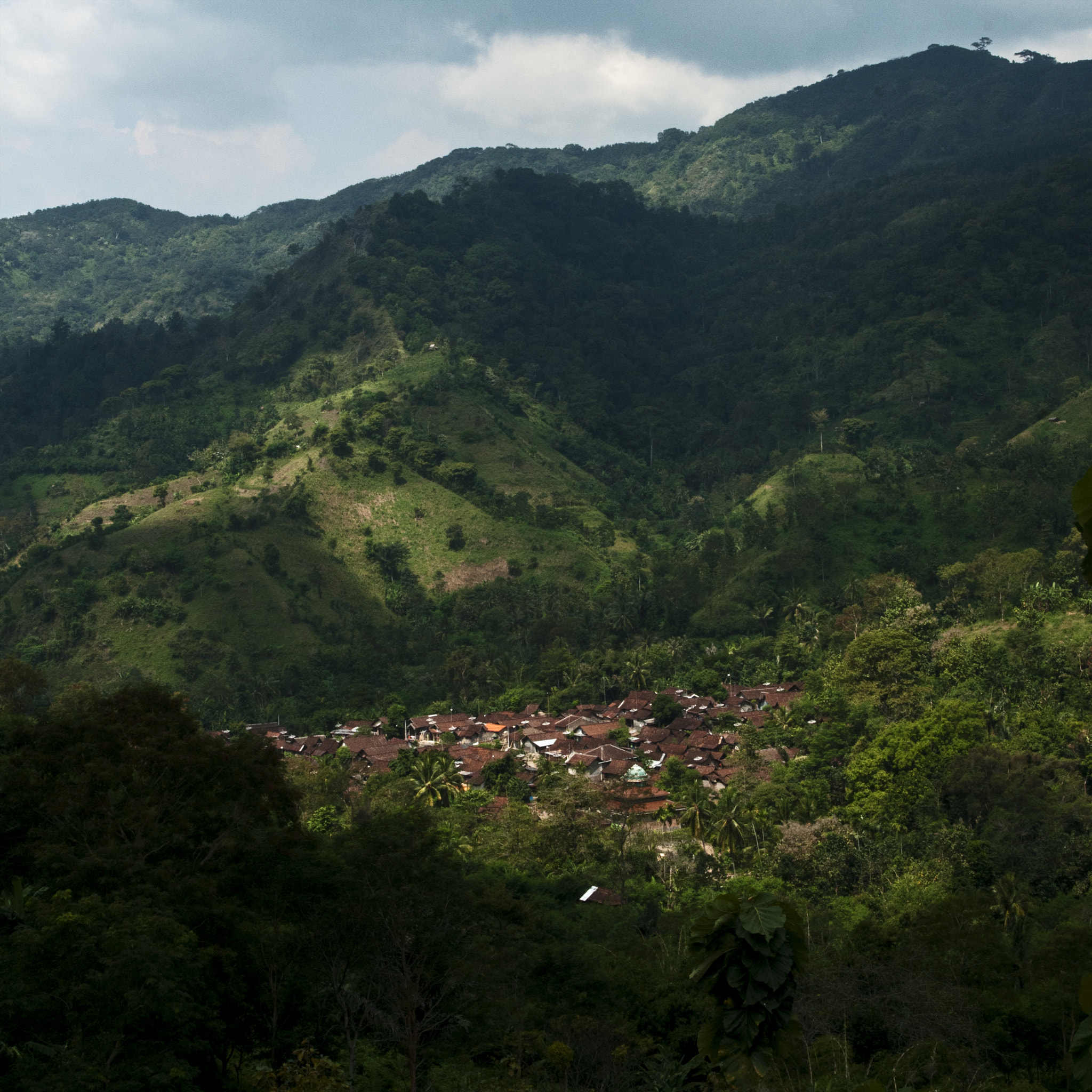 AF Zoom-Nikkor 35-80mm f/4-5.6D sample photo. Alas malang photography