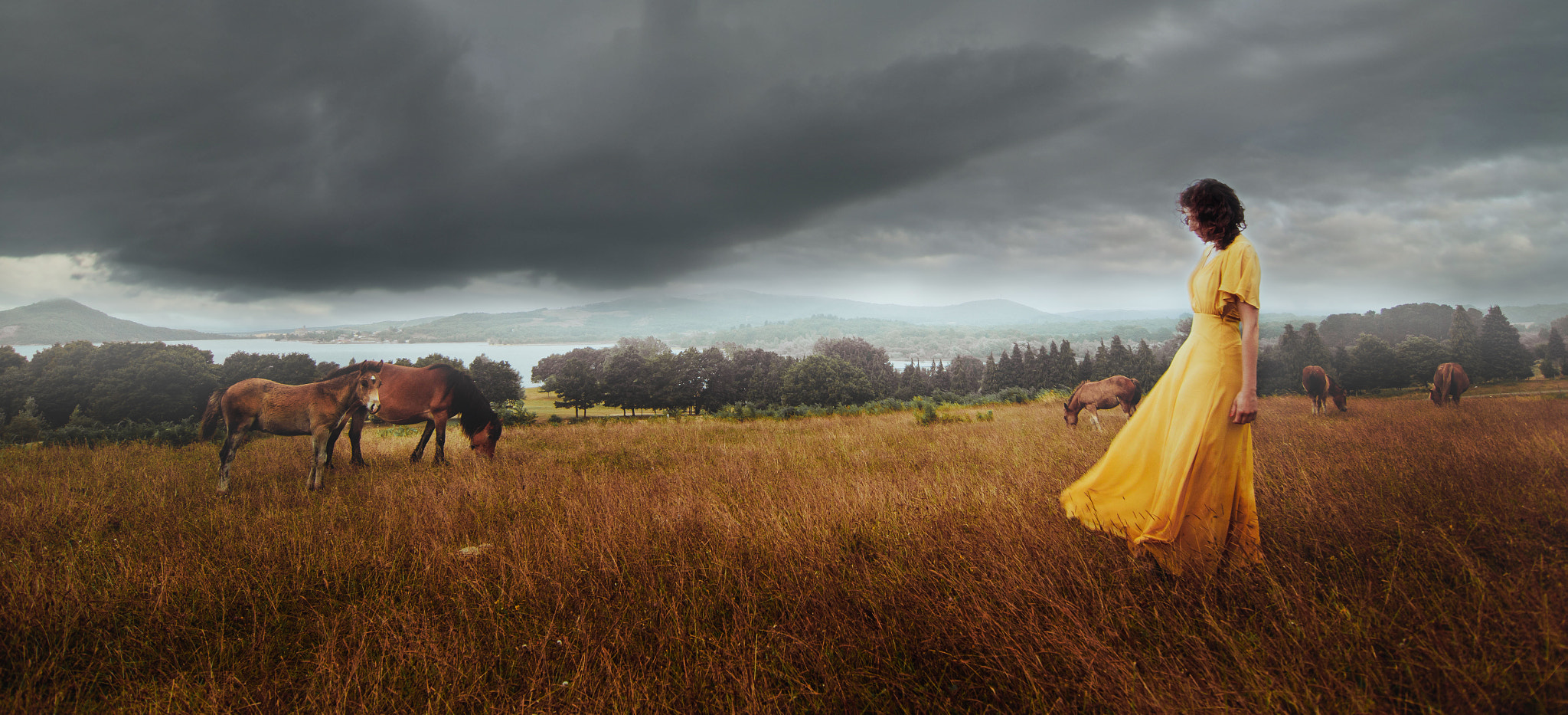 Tokina AT-X Pro 12-24mm F4 (IF) DX sample photo. The storm photography