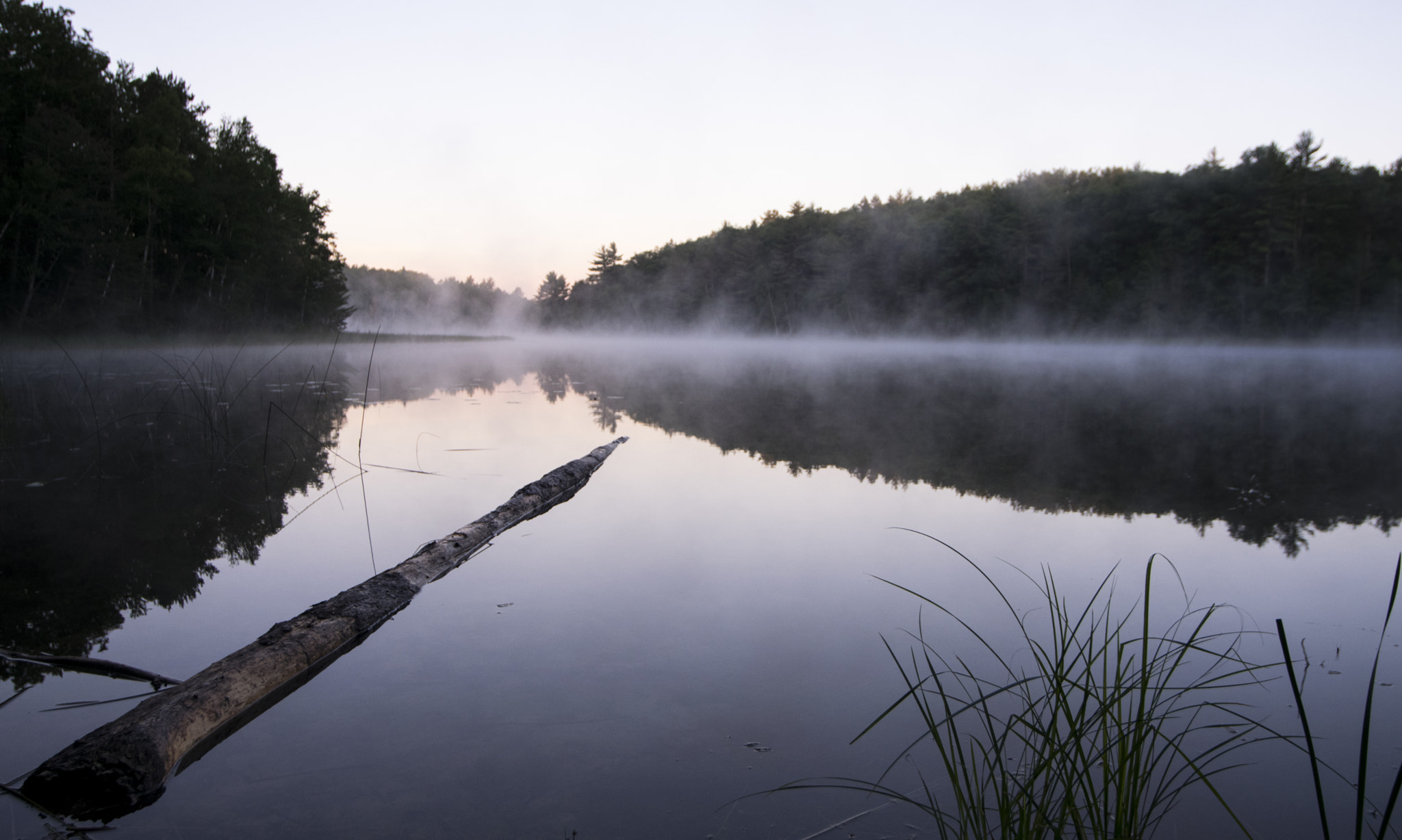 Morning Fog