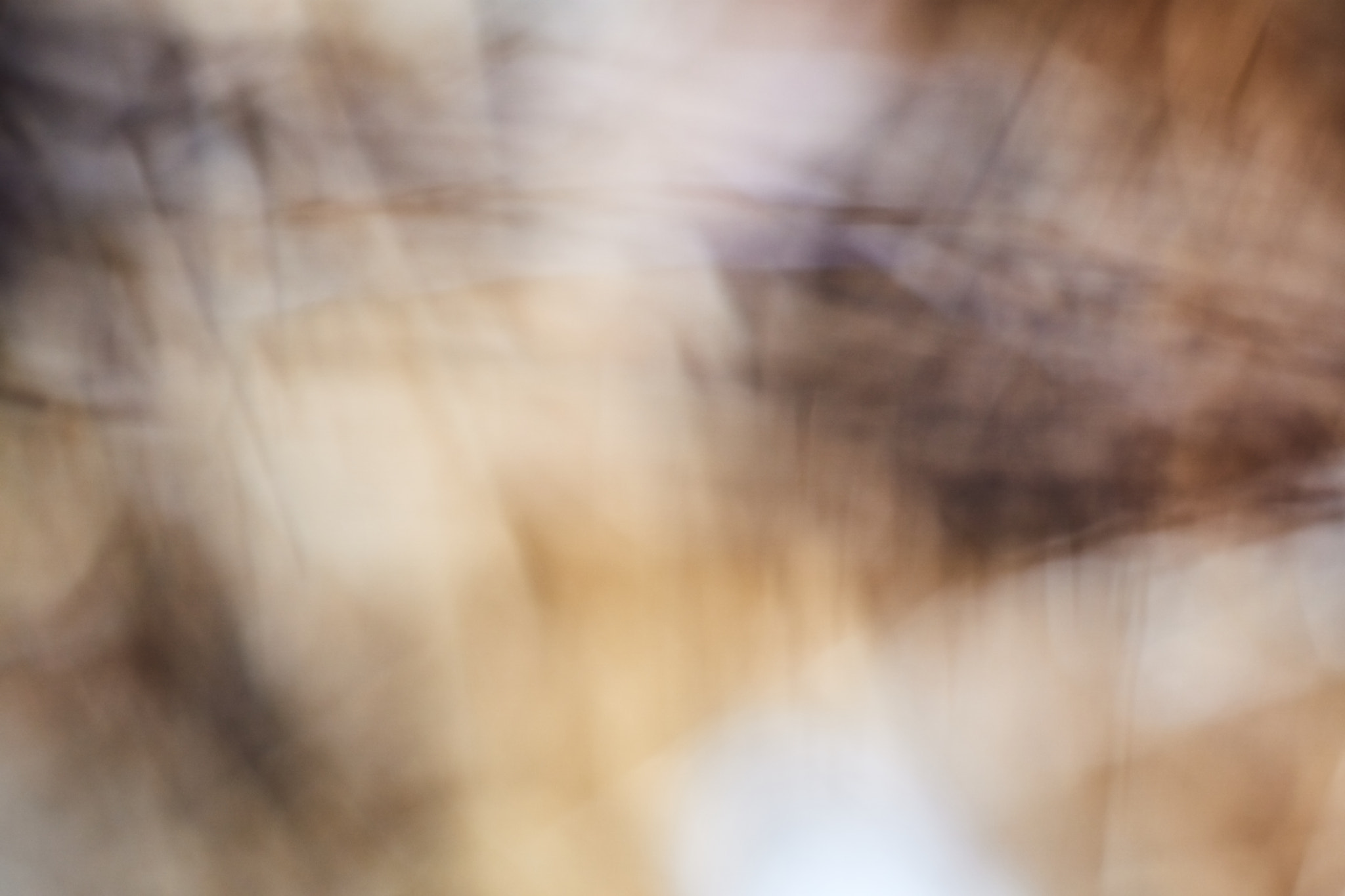 Sony ILCA-77M2 + Minolta AF 50mm F1.7 sample photo. Autum palette photography