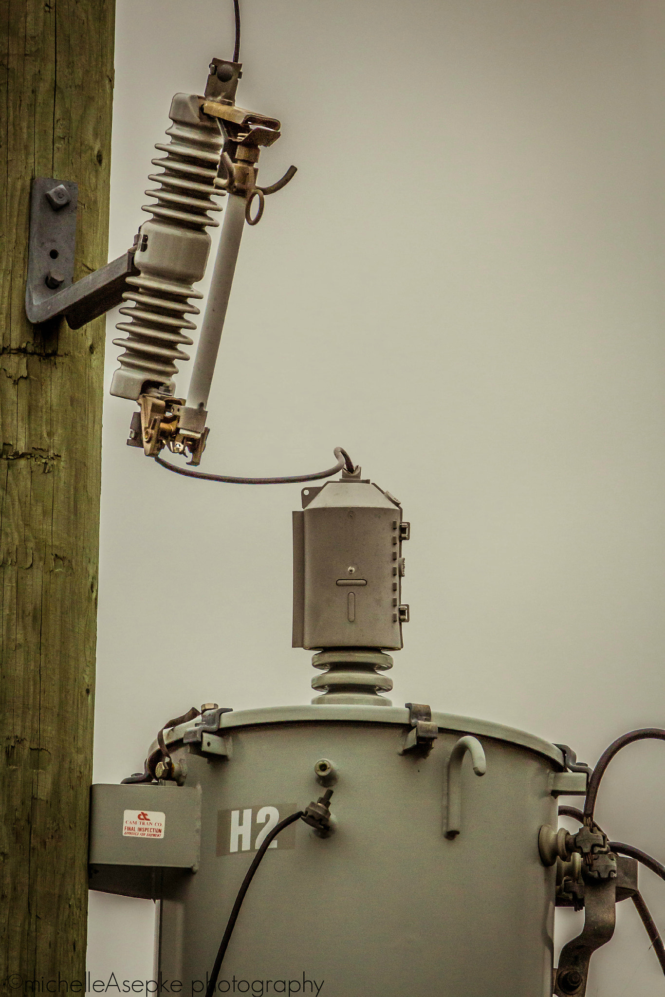 Tamron SP 150-600mm F5-6.3 Di VC USD sample photo. Tinman photography