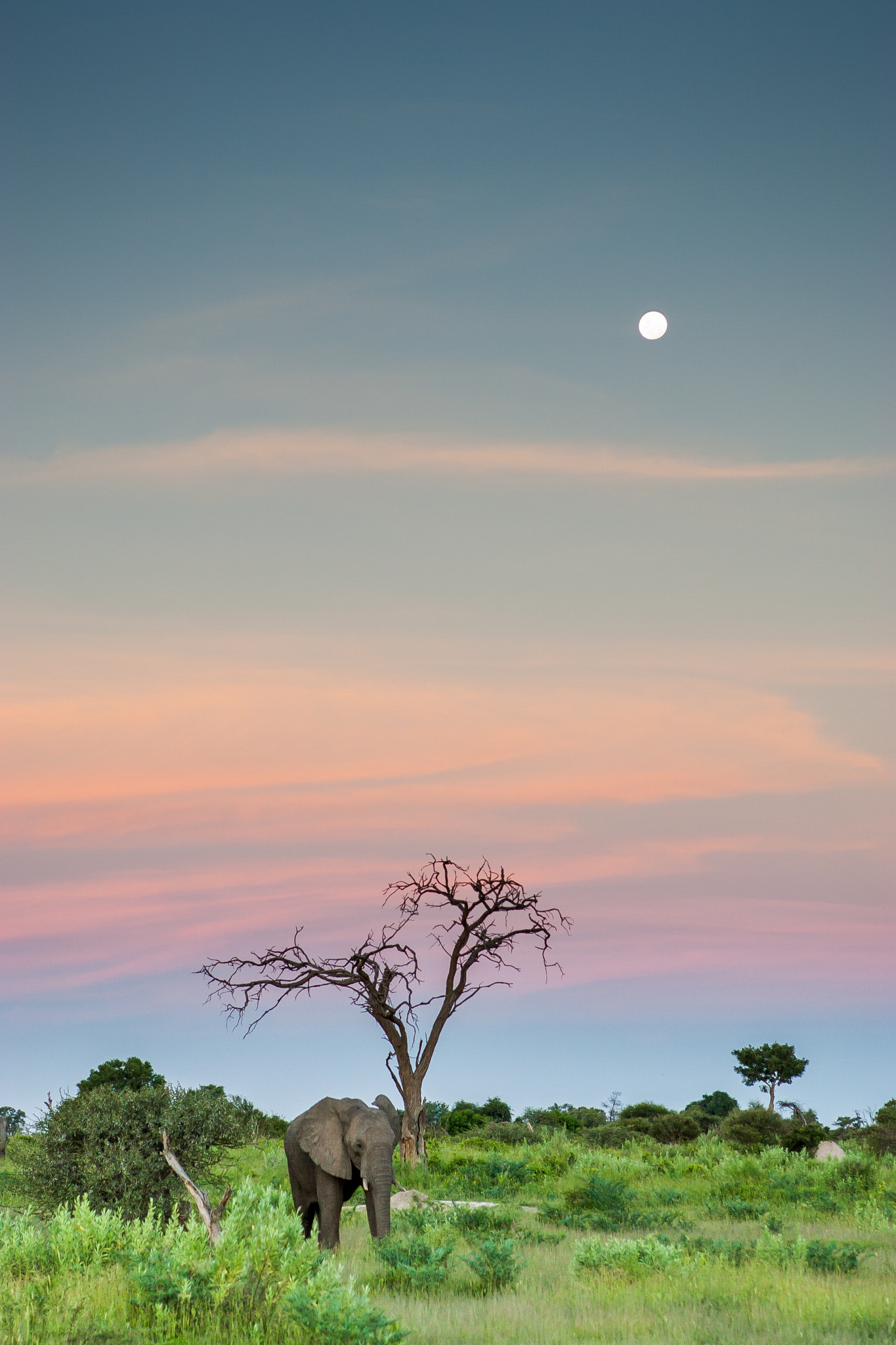 Canon EOS-1D Mark II sample photo. Just after sunset sometime photography