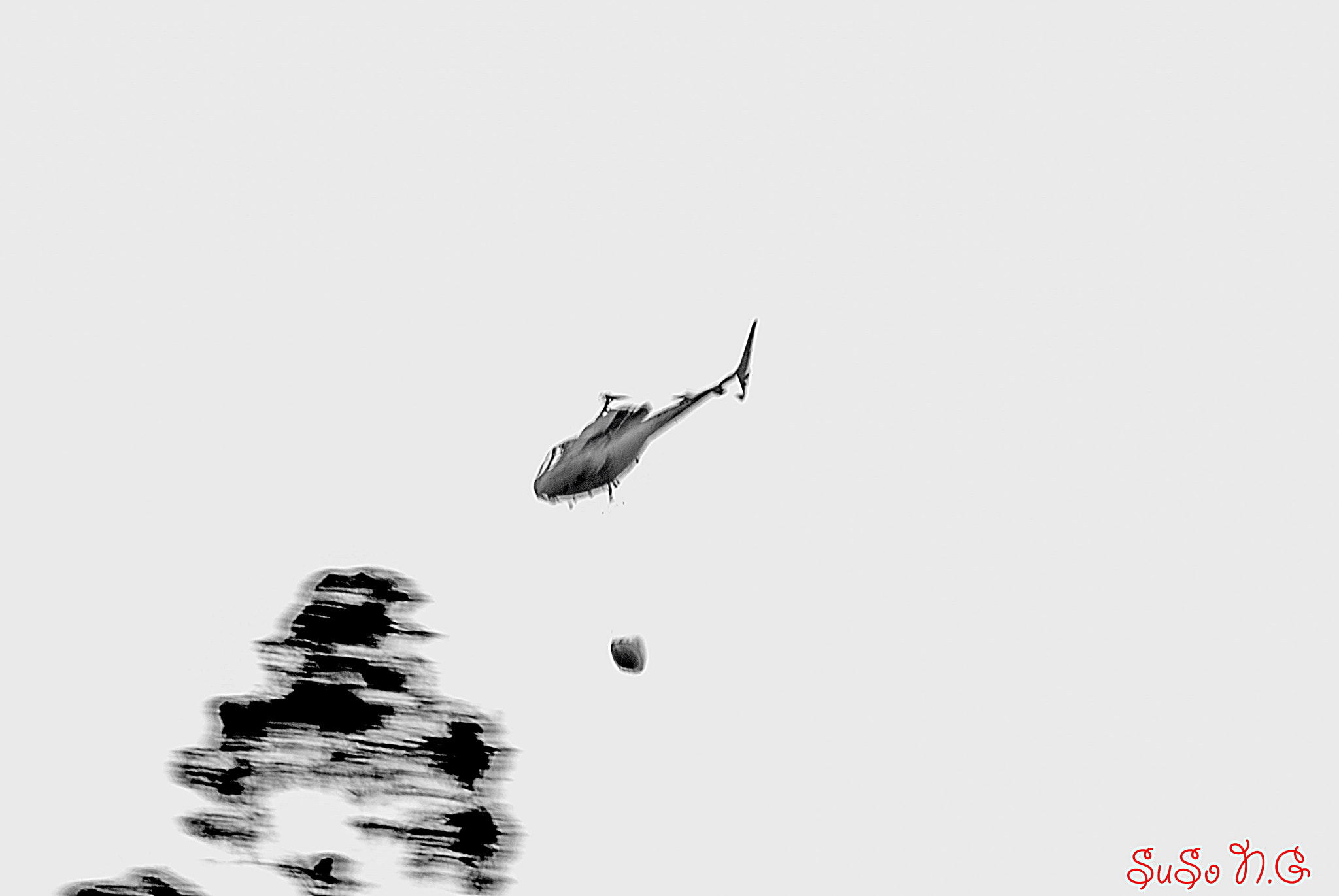Nikon D3000 sample photo. Al buelo.... photography