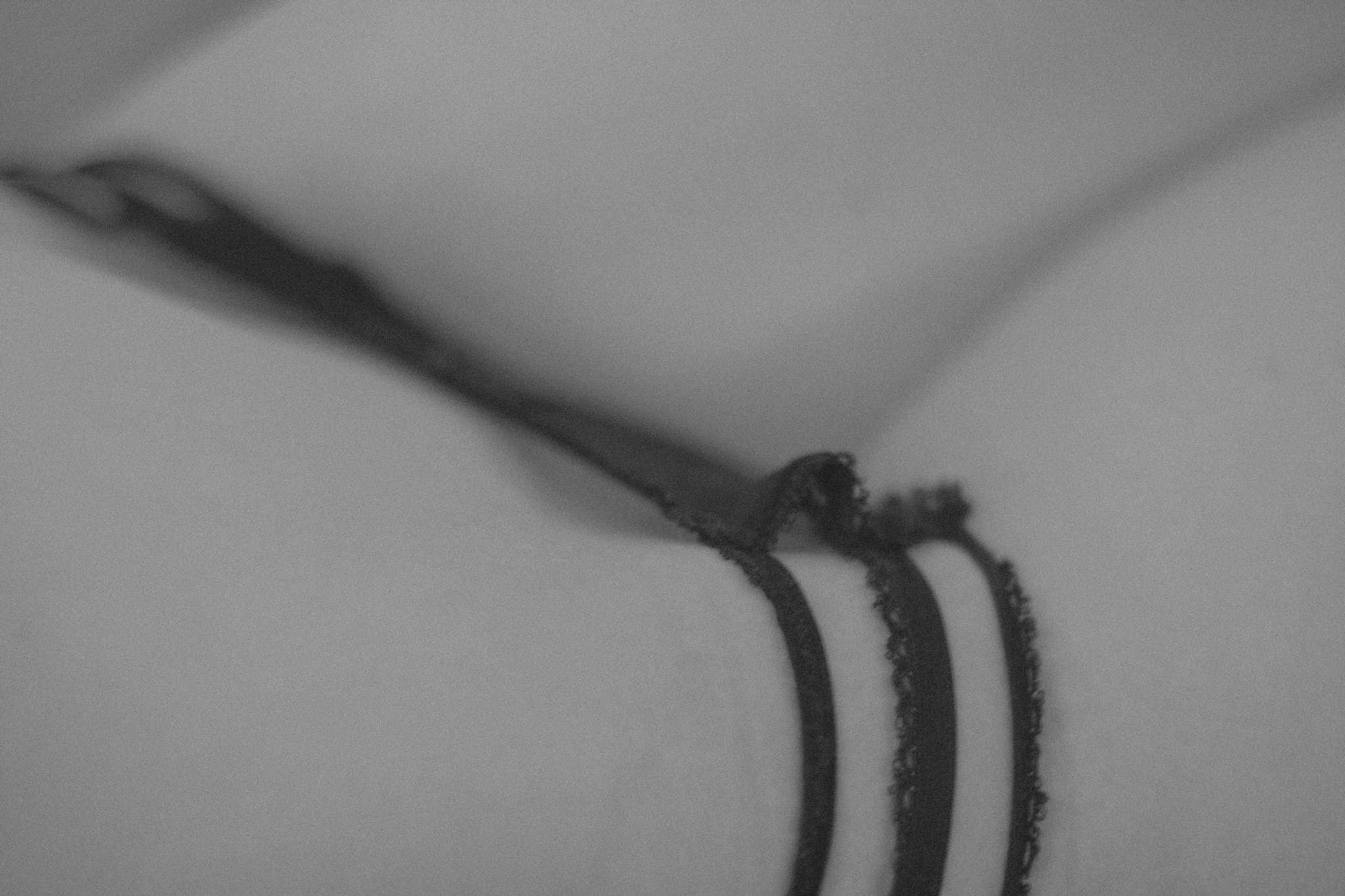 Canon EF 50mm F1.8 II sample photo. Snake gardens photography