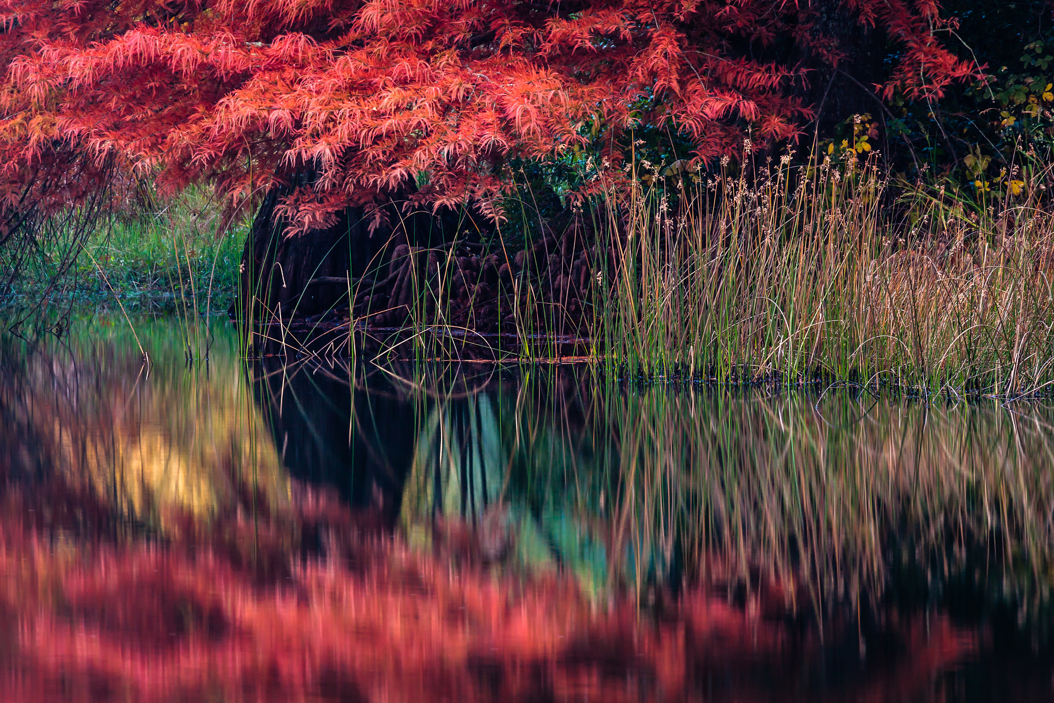 Canon EF 100-400mm F4.5-5.6L IS USM sample photo. Autumn reflections photography
