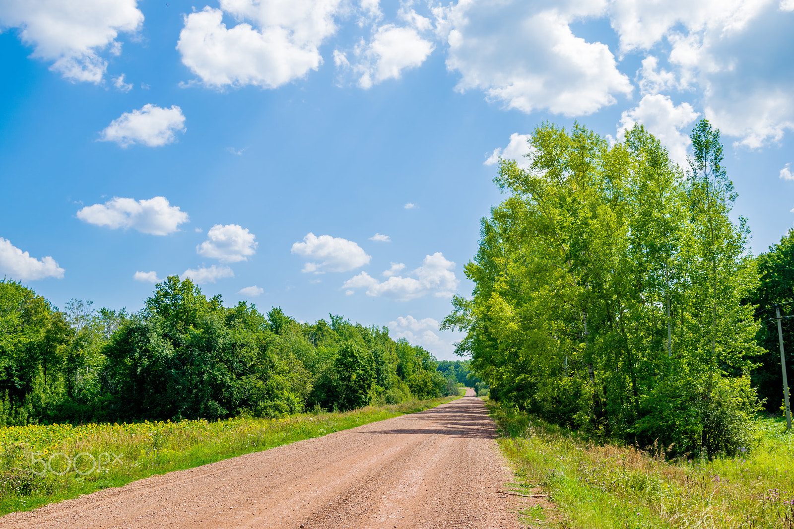 Nikon AF-S Nikkor 24-120mm F4G ED VR sample photo. Country road photography