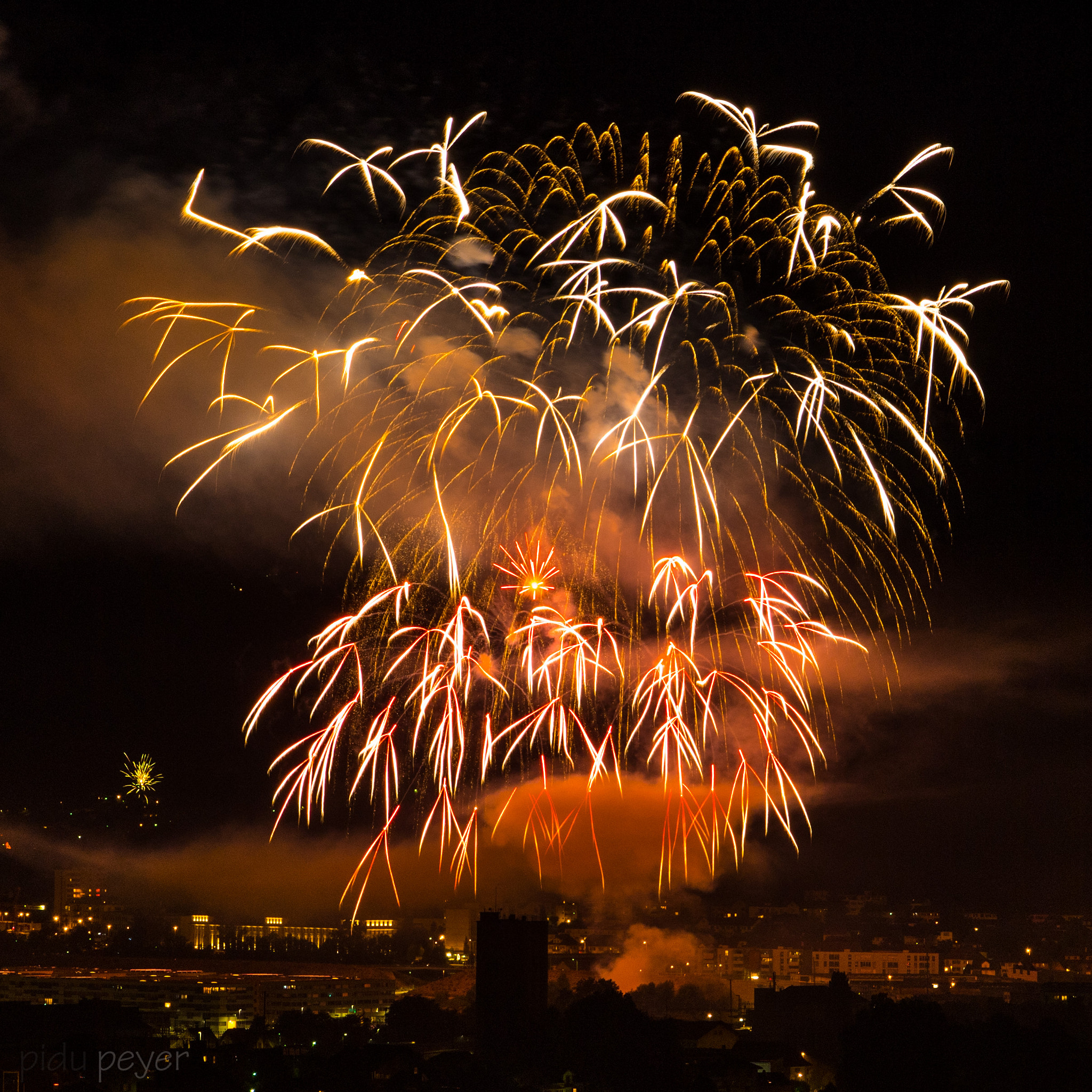 Nikon AF-S Nikkor 24-70mm F2.8E ED VR sample photo. Fireworks tree photography