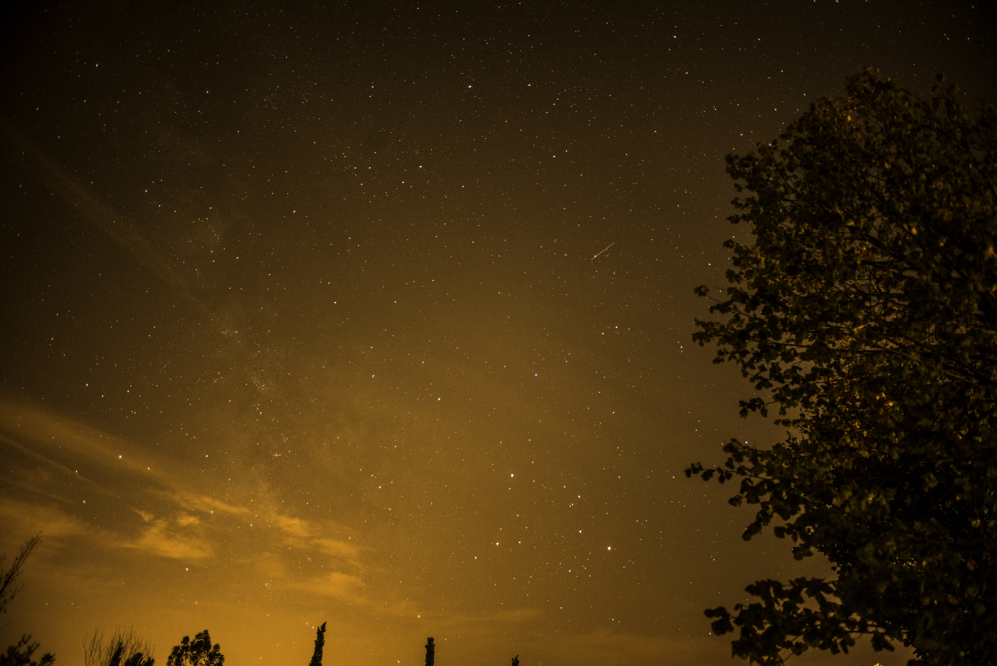 Leica M (Typ 240) + Leica Summilux-M 21mm F1.4 Asph sample photo. Provençal night sky.jpg photography