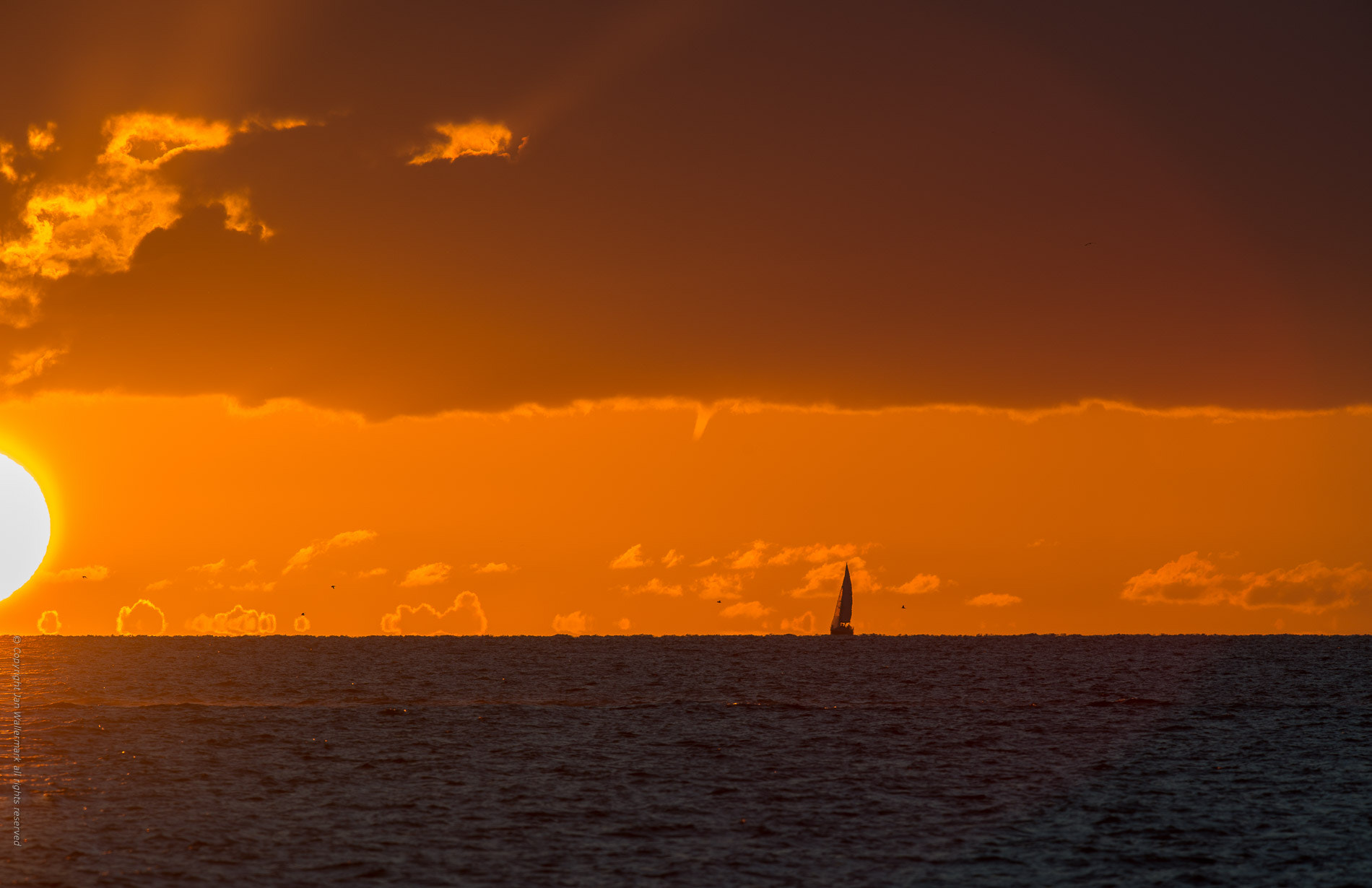 Nikon AF-S Nikkor 400mm F2.8E FL ED VR sample photo. The end, fine, zu ende photography