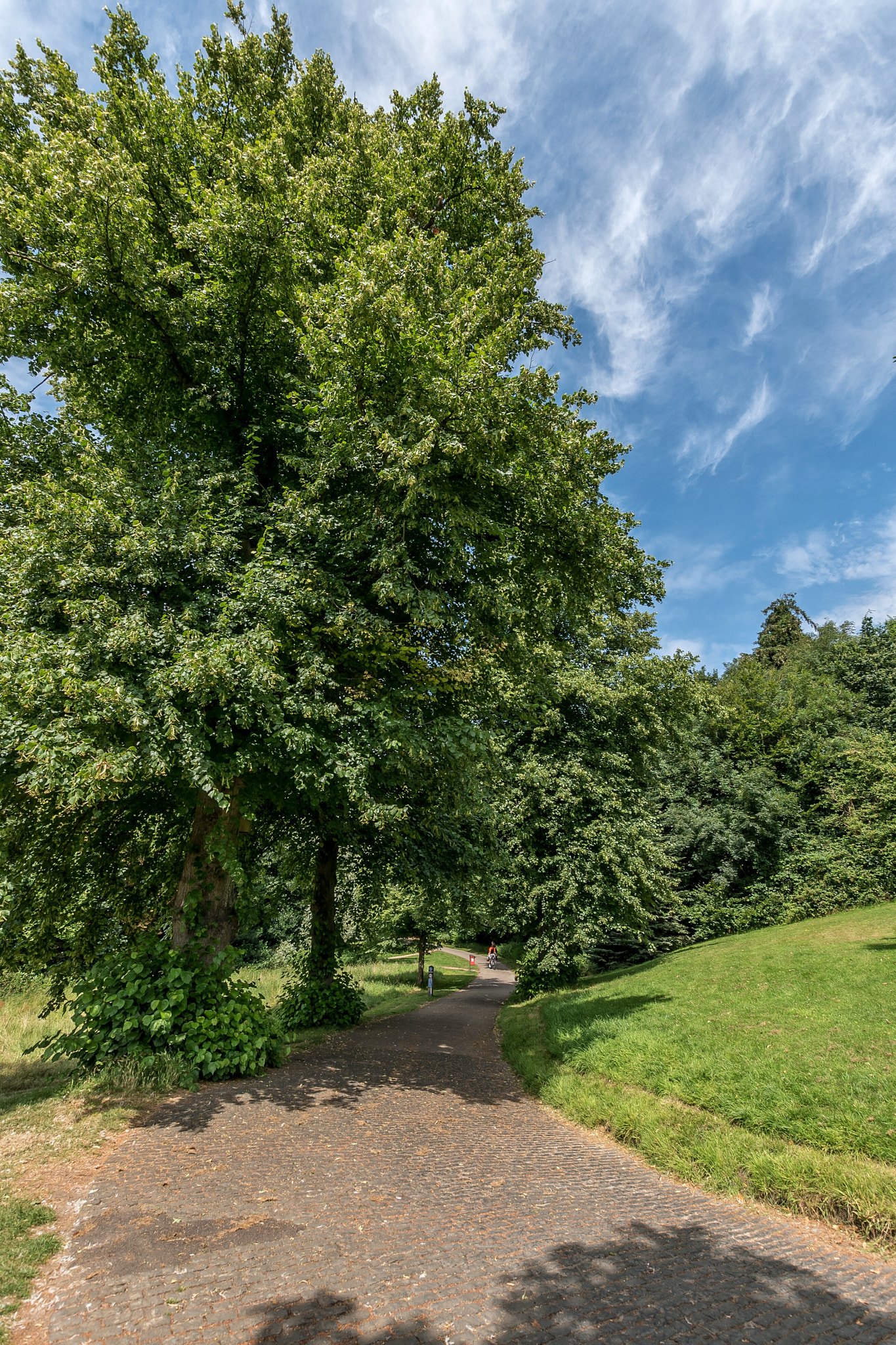 Nikon D750 + Sigma 10-20mm F3.5 EX DC HSM sample photo. Holywells park  photography