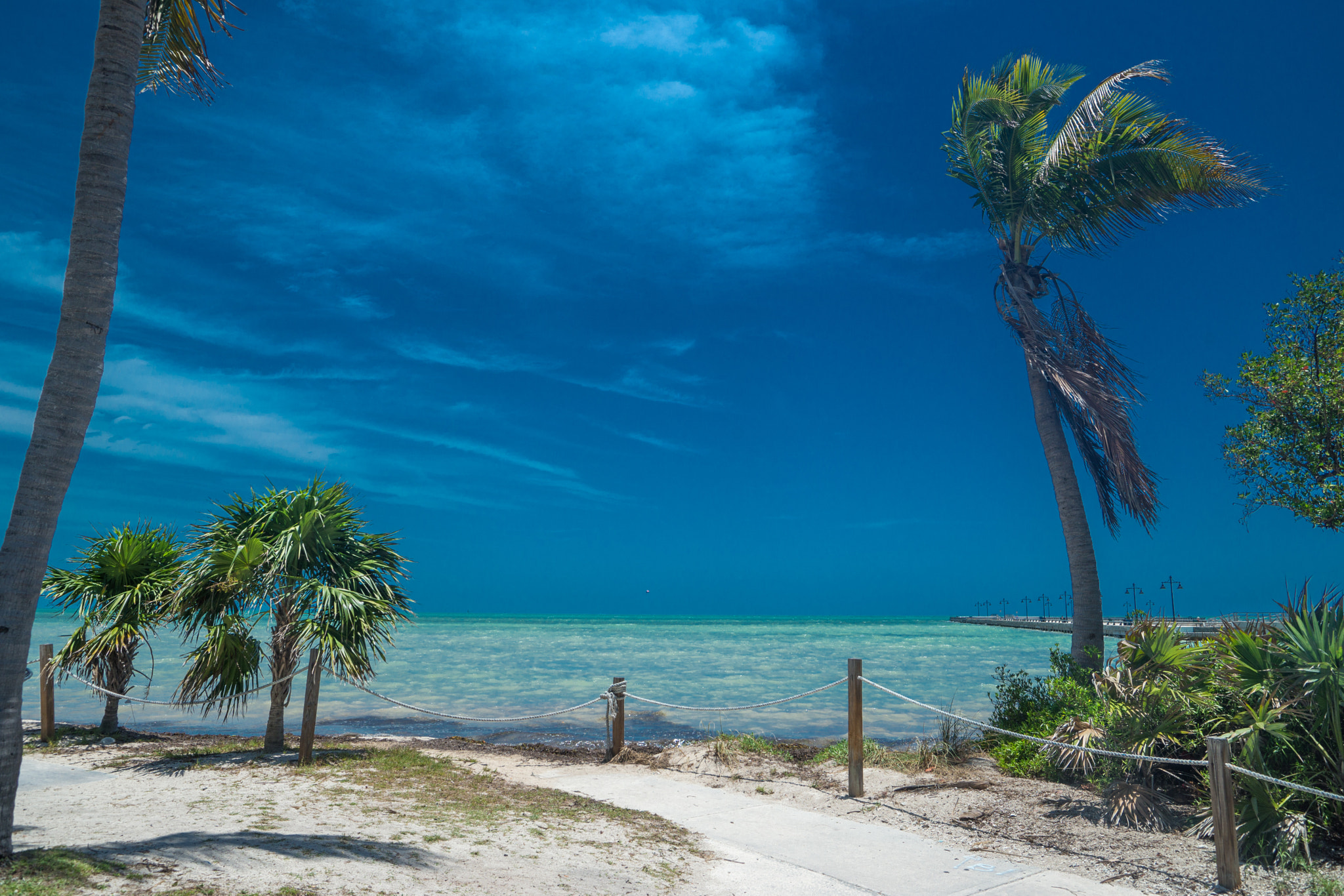 Sony SLT-A99V sample photo. Key west photography