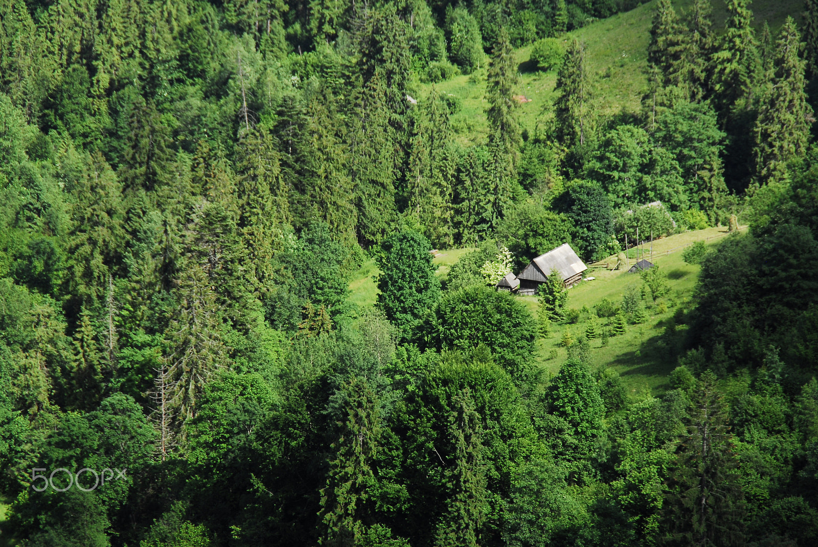 Nikon D200 sample photo. Mountains photography