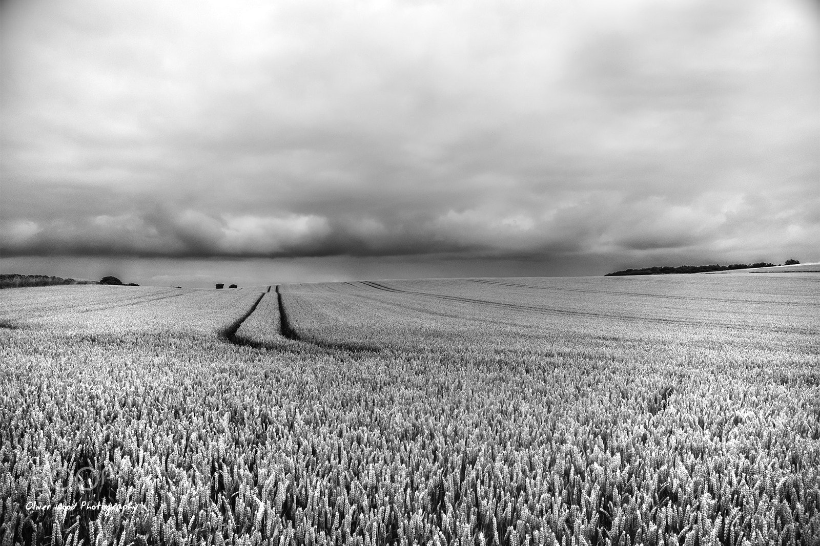 Sigma 10-20mm F4-5.6 EX DC HSM sample photo. Cereal yorkshire photography