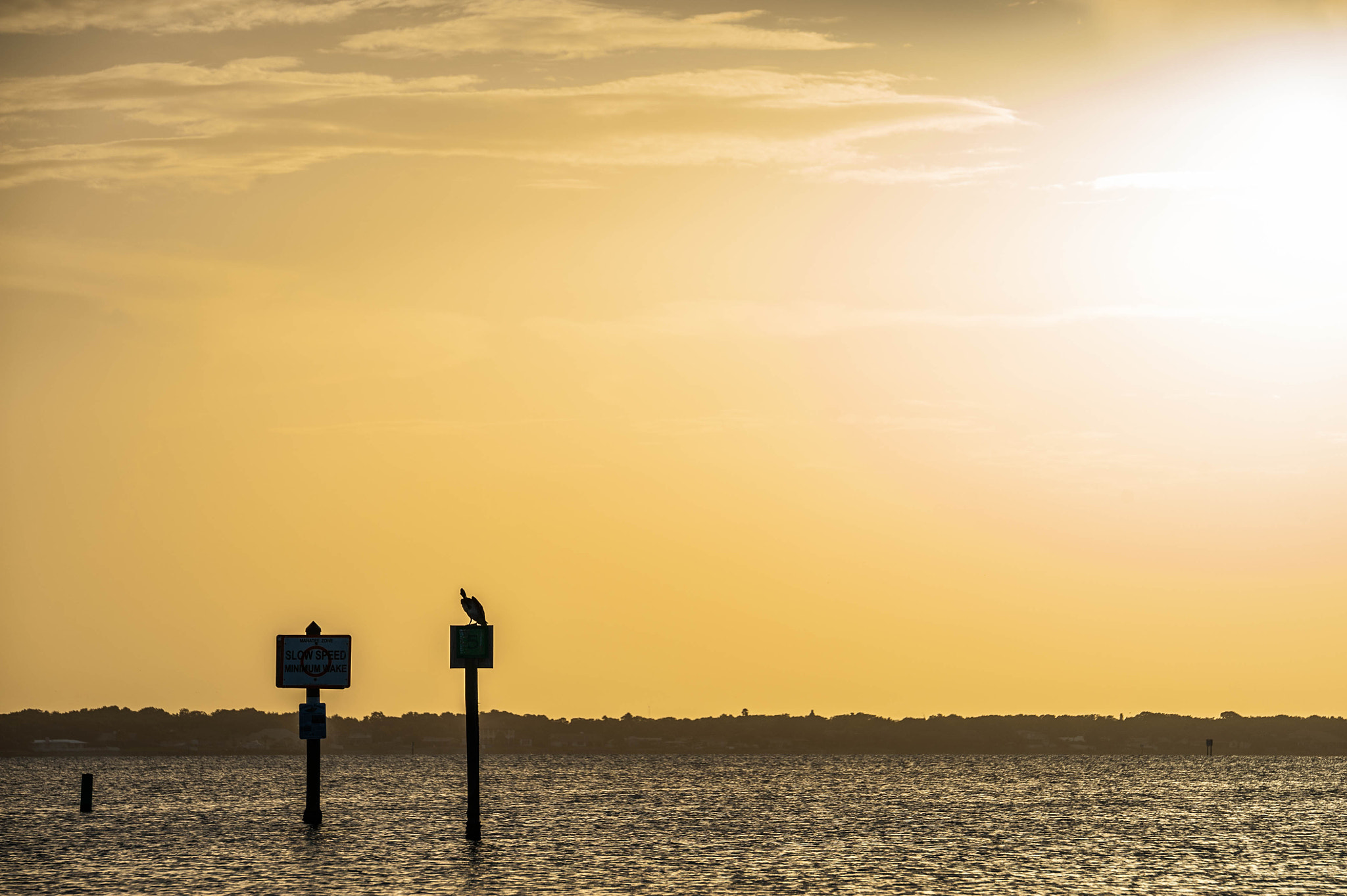 Tamron SP 70-200mm F2.8 Di VC USD sample photo. As the sun sets photography