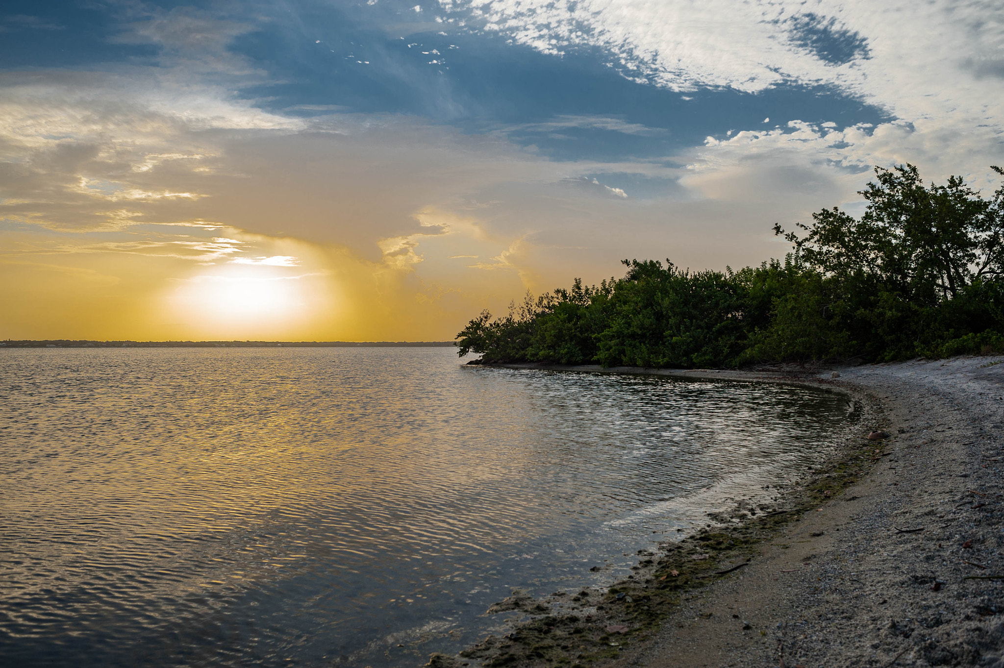 Nikon D700 + AF Nikkor 28mm f/2.8 sample photo. Florida landscape photography